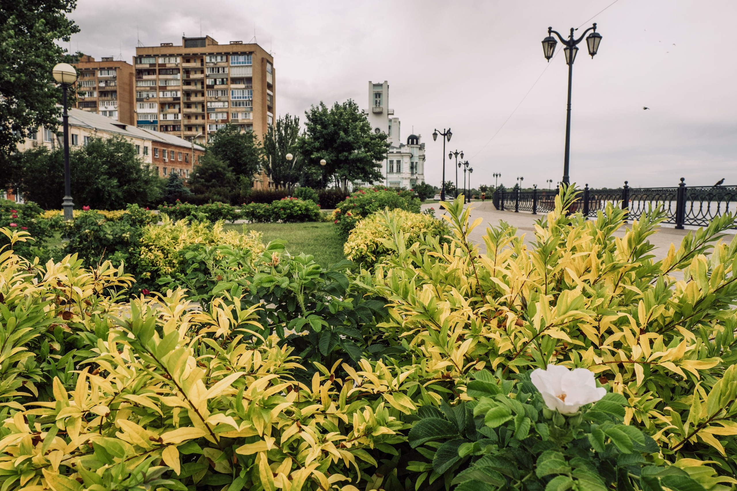 Набережная. Фотограф Анатолий Деникин