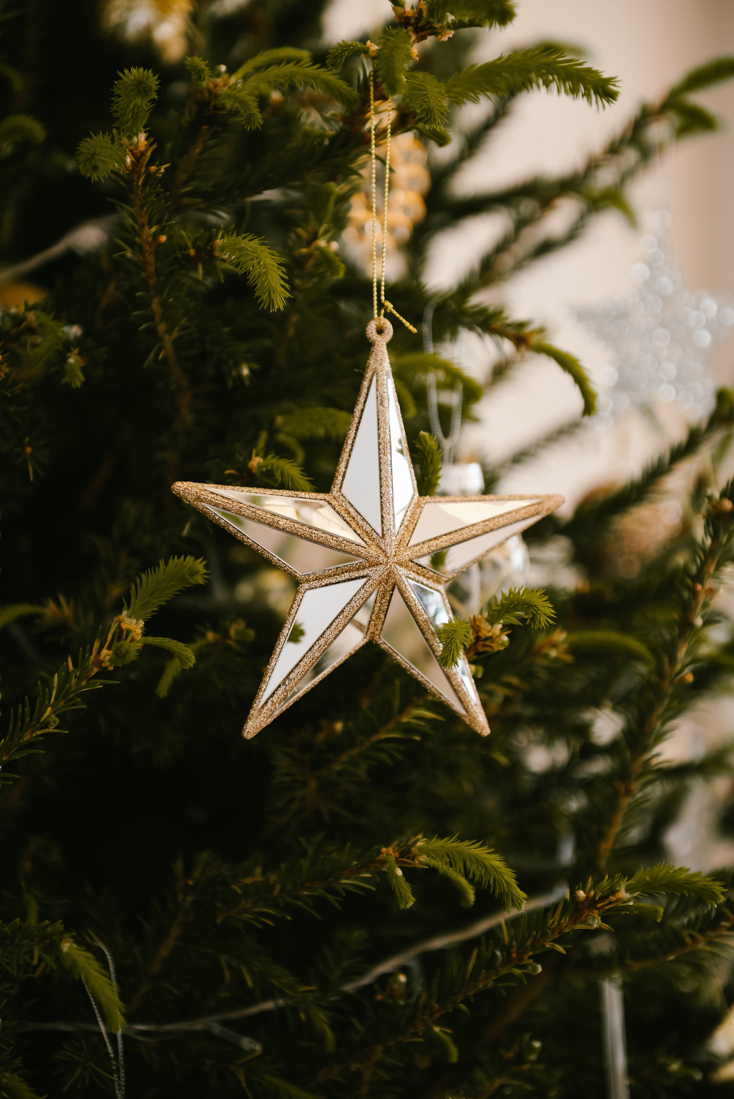 Свадебная фотосессия в фотостудии WOODг. Кемерово