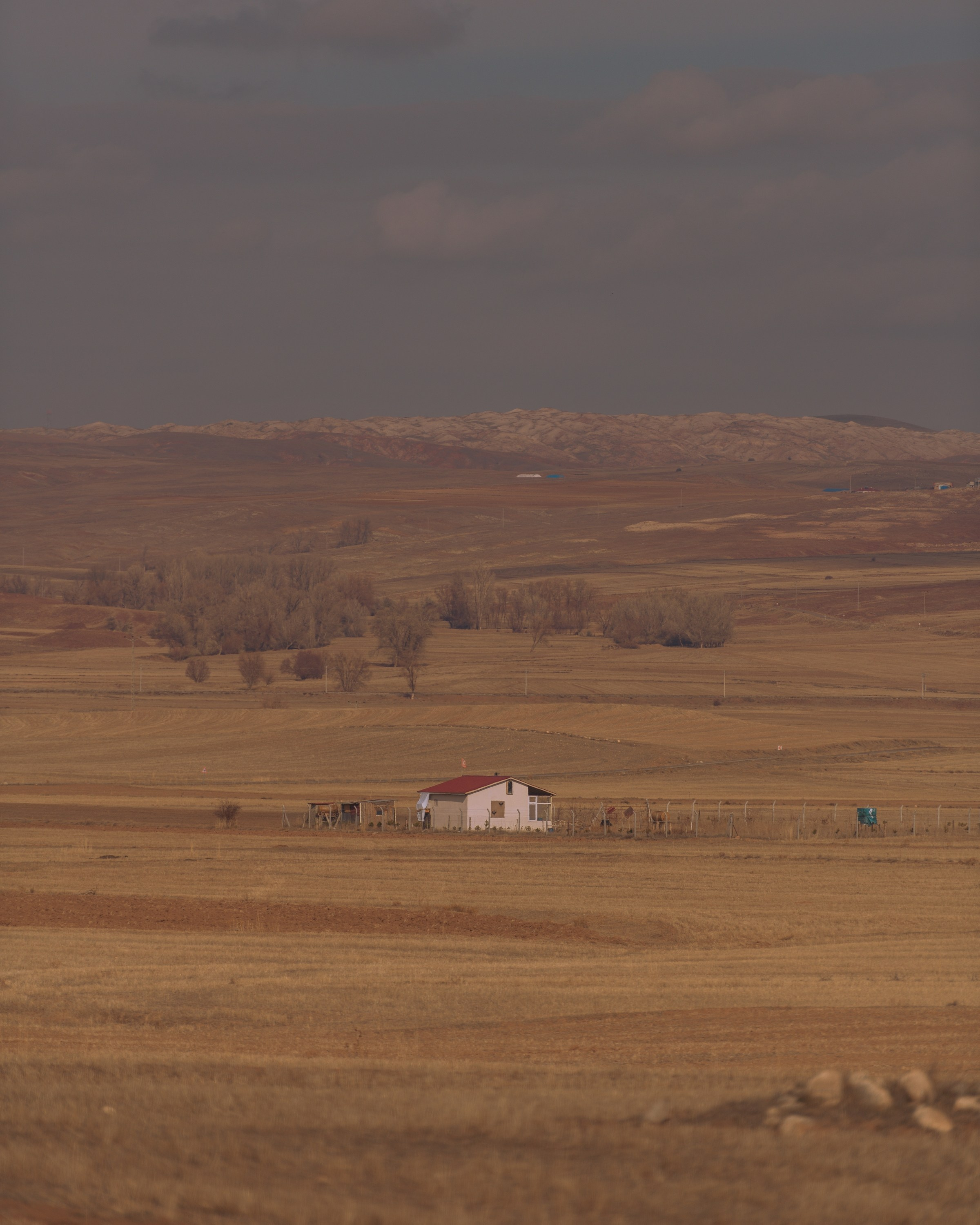 Turkey. Photographer in Tokyo Anatolii Ozarto