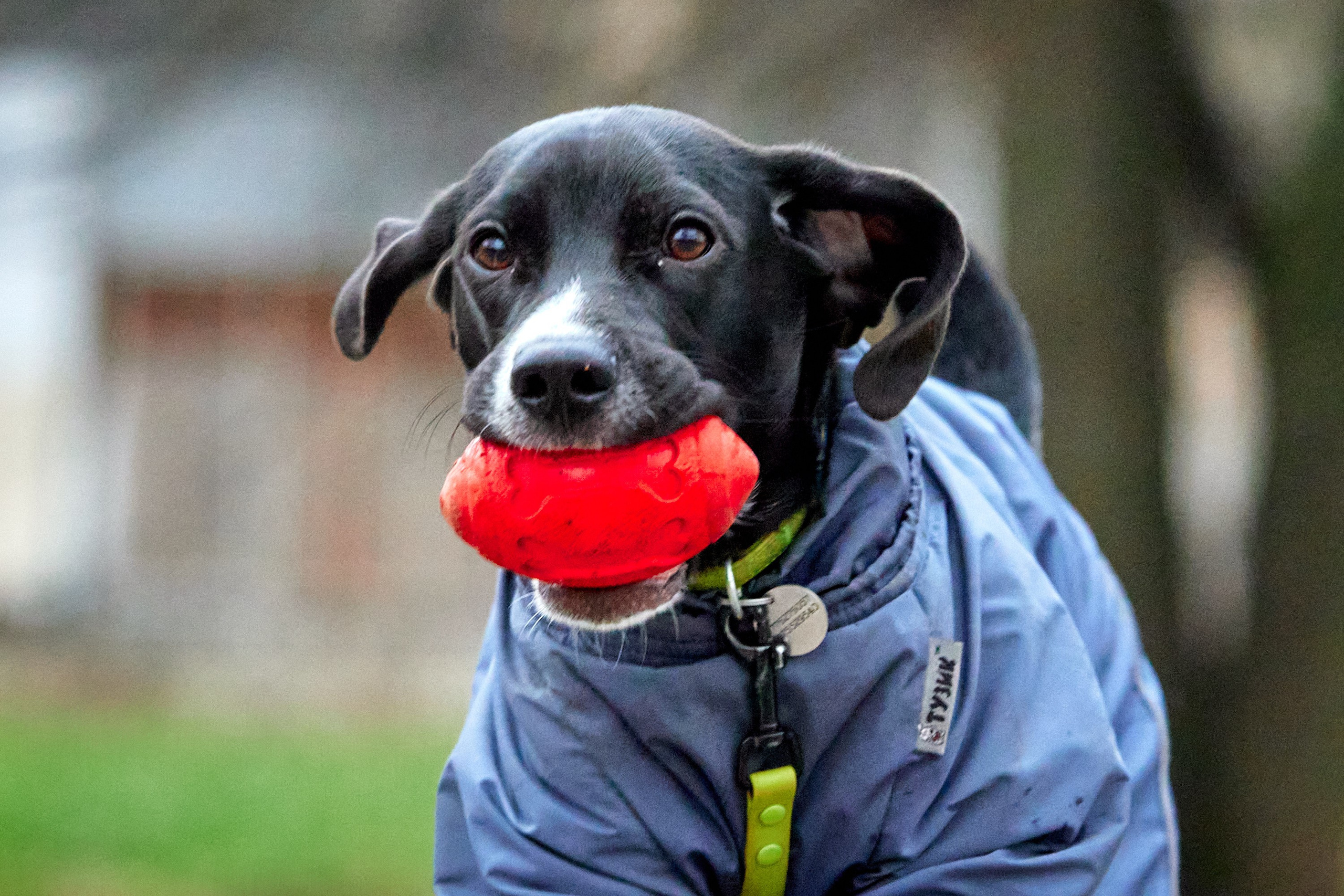 S95 Кусково. Спортивный и репортажный фотограф Андрей Баскаков