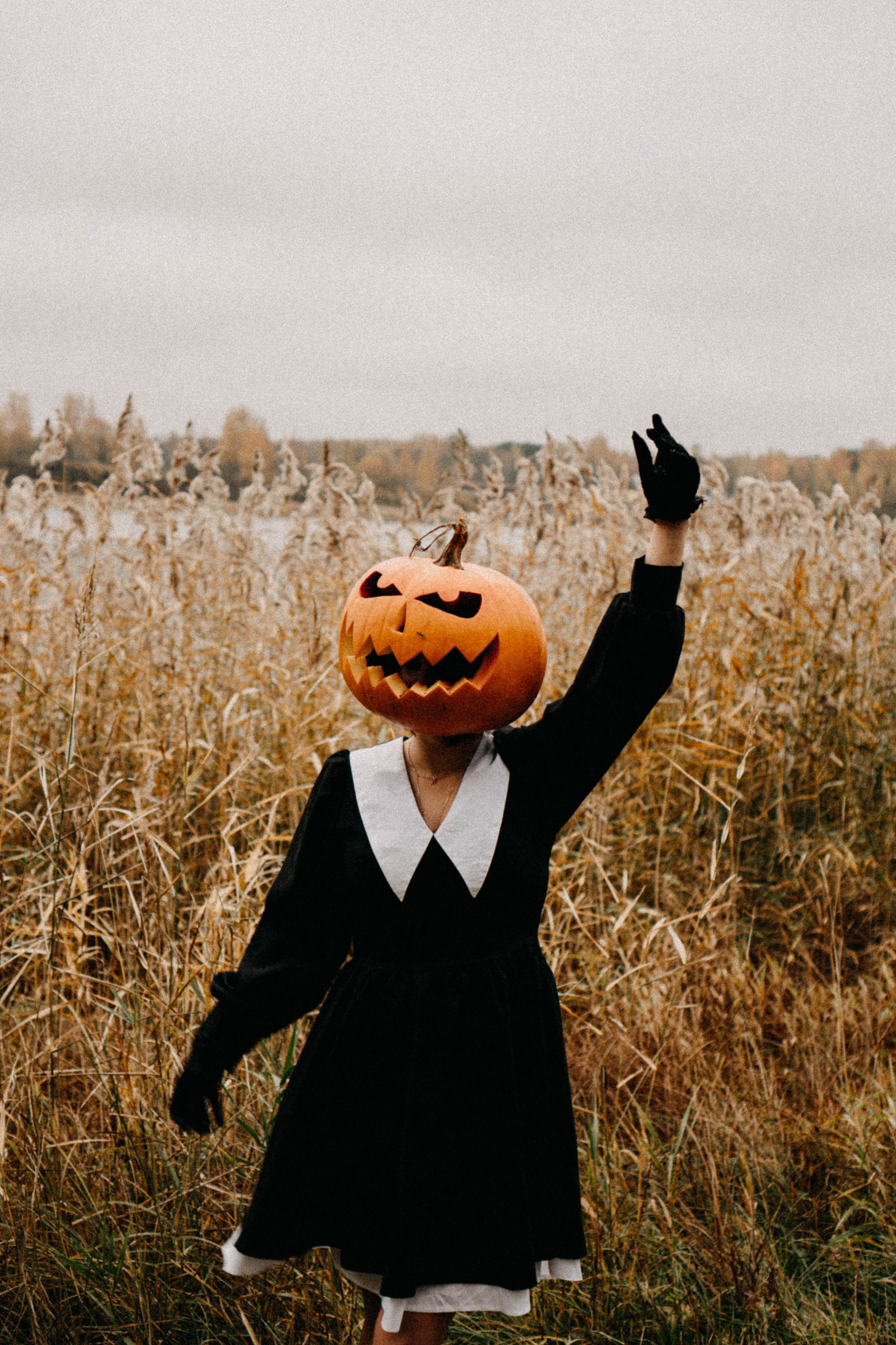 Осеняя. Профессиональный фотограф, Санкт-Петербург — Виктория Богомолова