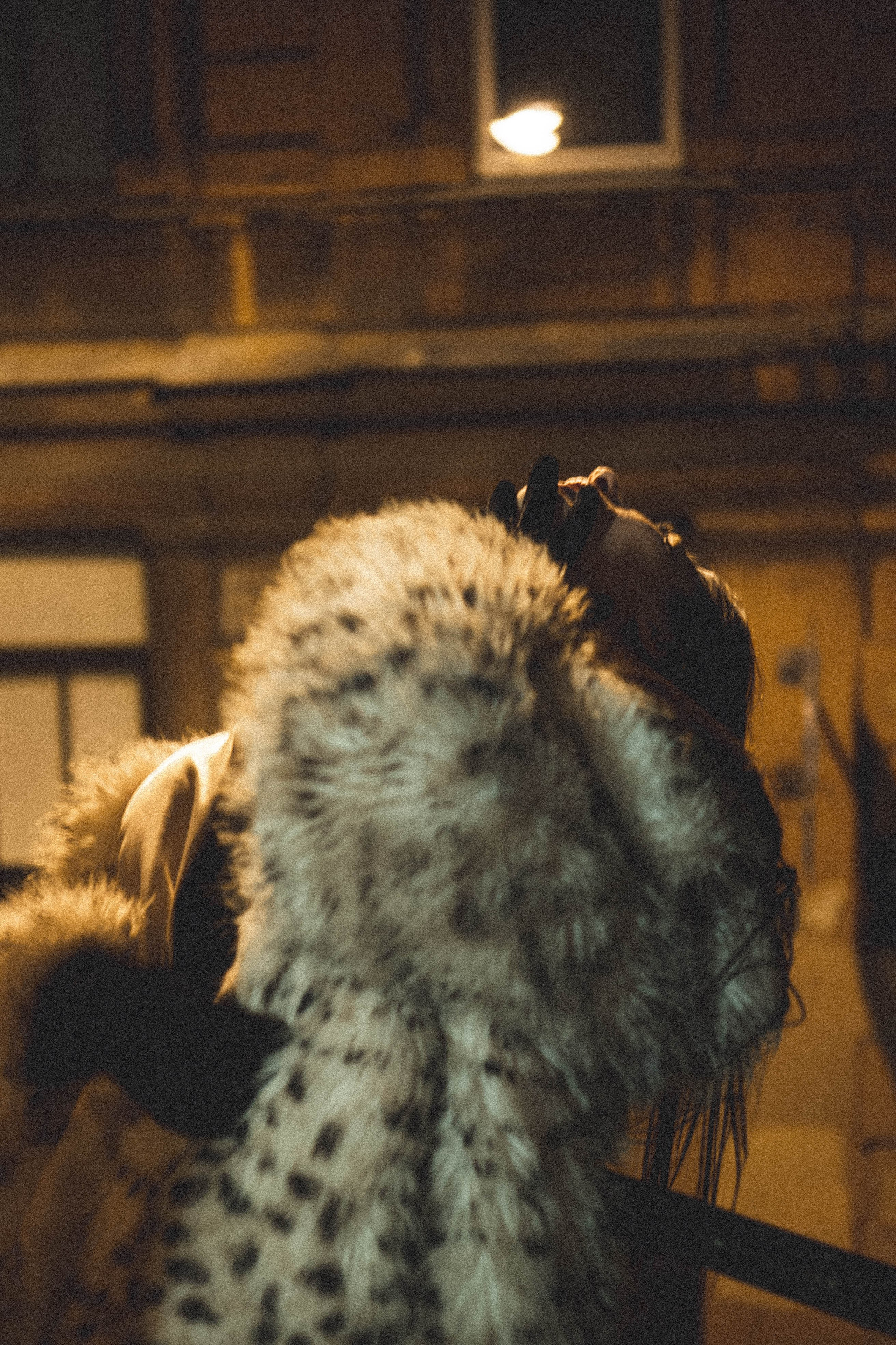 Балкон. Профессиональный фотограф, Санкт-Петербург — Виктория Богомолова