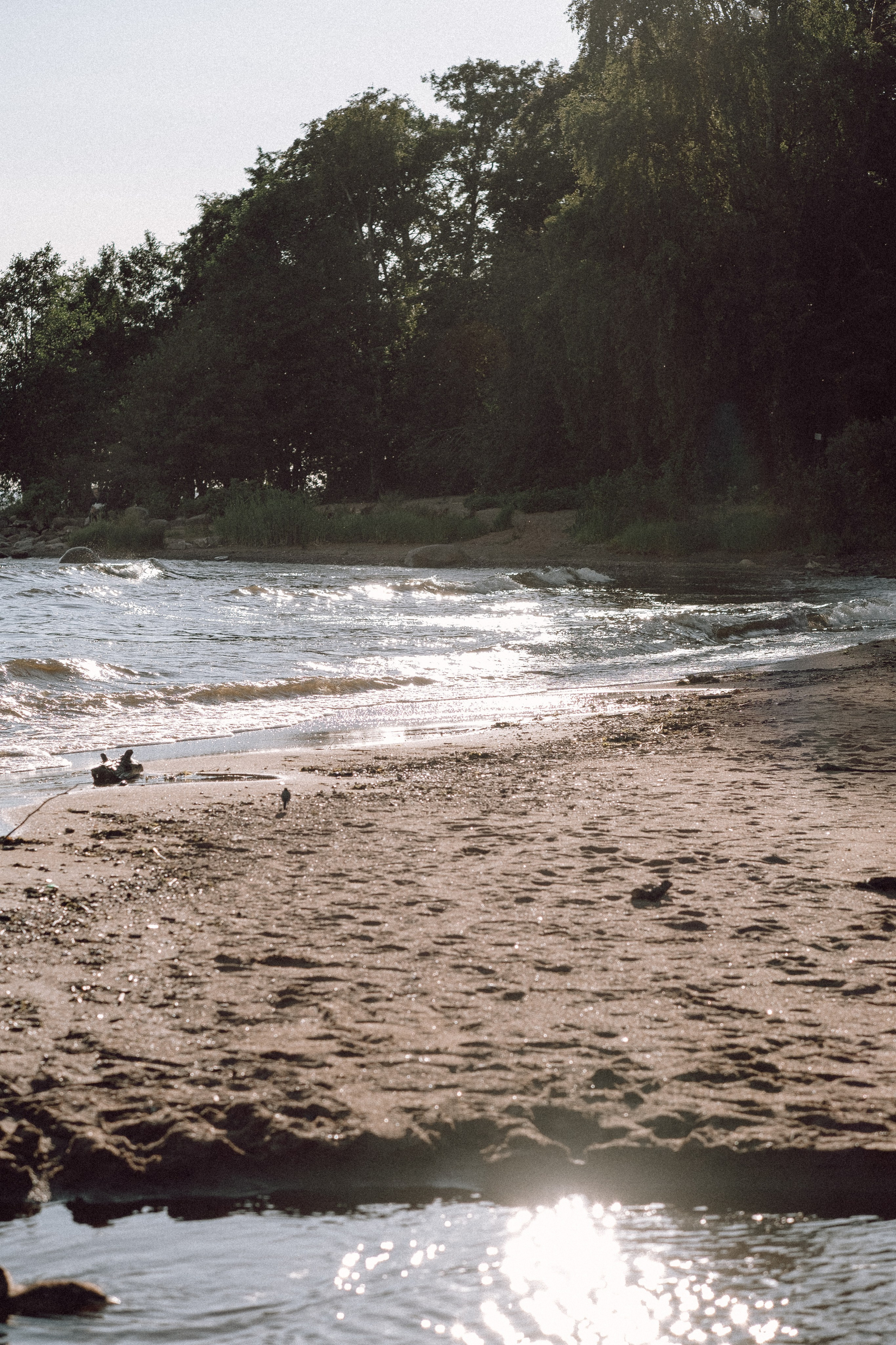 ПРОГУЛКА НА БЕРЕГУ ФИНСКОГО ЗАЛИВА. Профессиональный фотограф, Санкт-Петербург — Виктория Богомолова