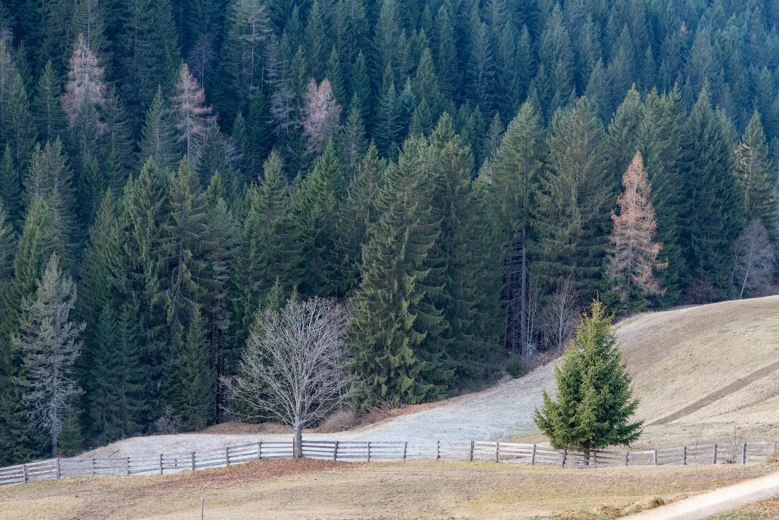 Фотосъёмка Альпы Италия, пейзажи и архитектура. «Студия DRONAVT`s» — видеосъёмка и фотография г. Москва