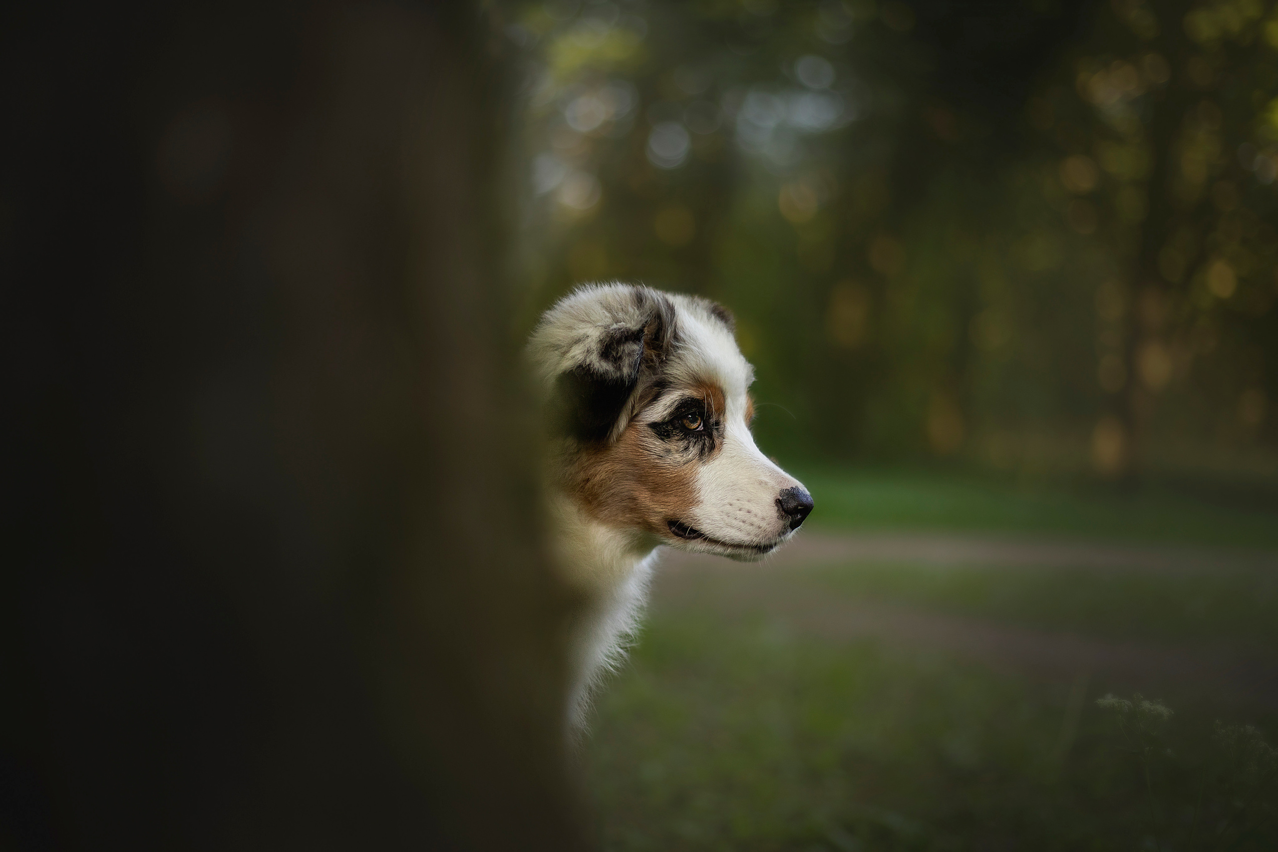 Ирина и Кайса. Фотограф — Анималист | Санкт-Петербург