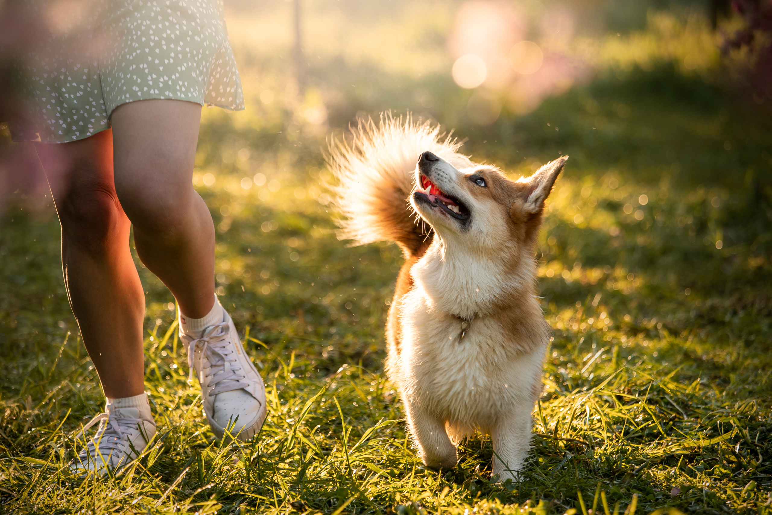 Юля и Лео. Фотограф — Анималист | Санкт-Петербург