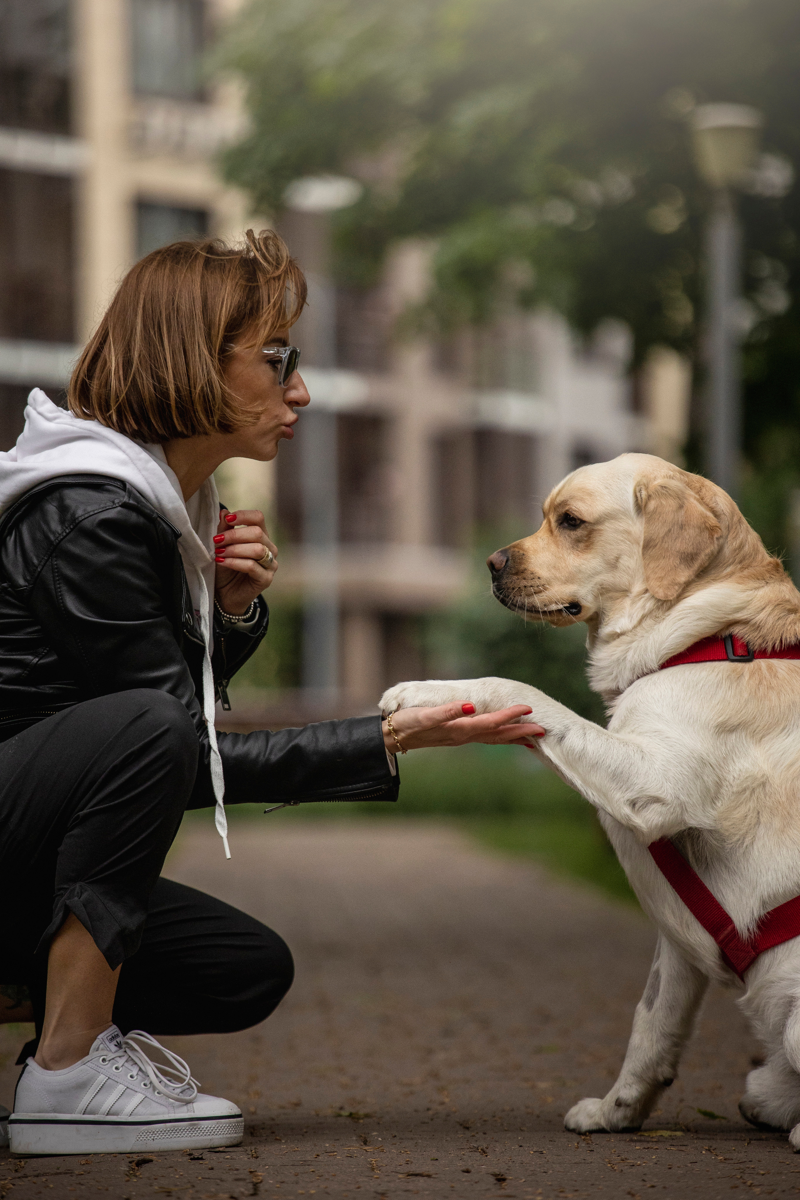 Наталья и Лорд. Фотограф — Анималист | Санкт-Петербург