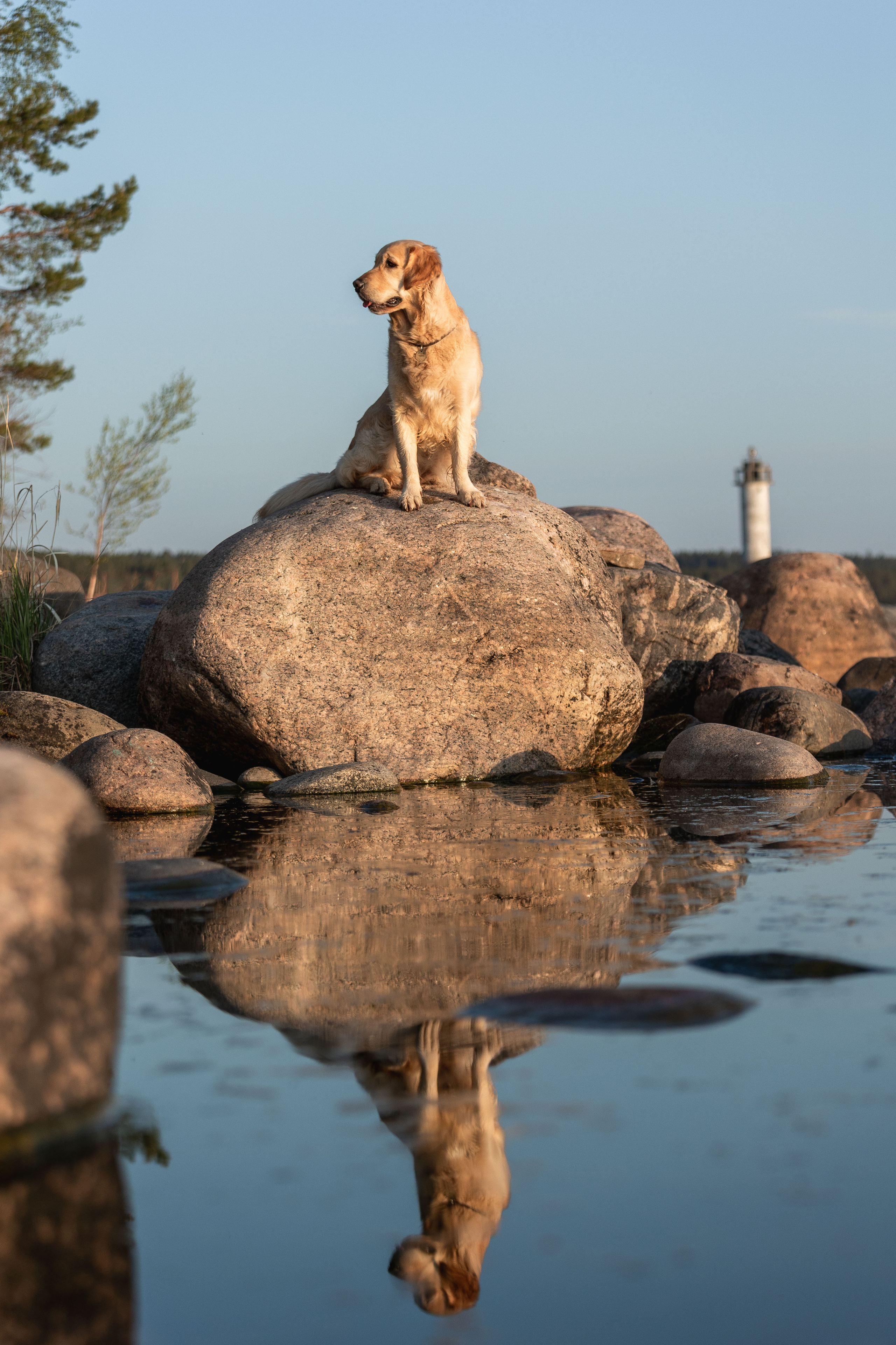 Марина и Чили. Фотограф — Анималист | Санкт-Петербург