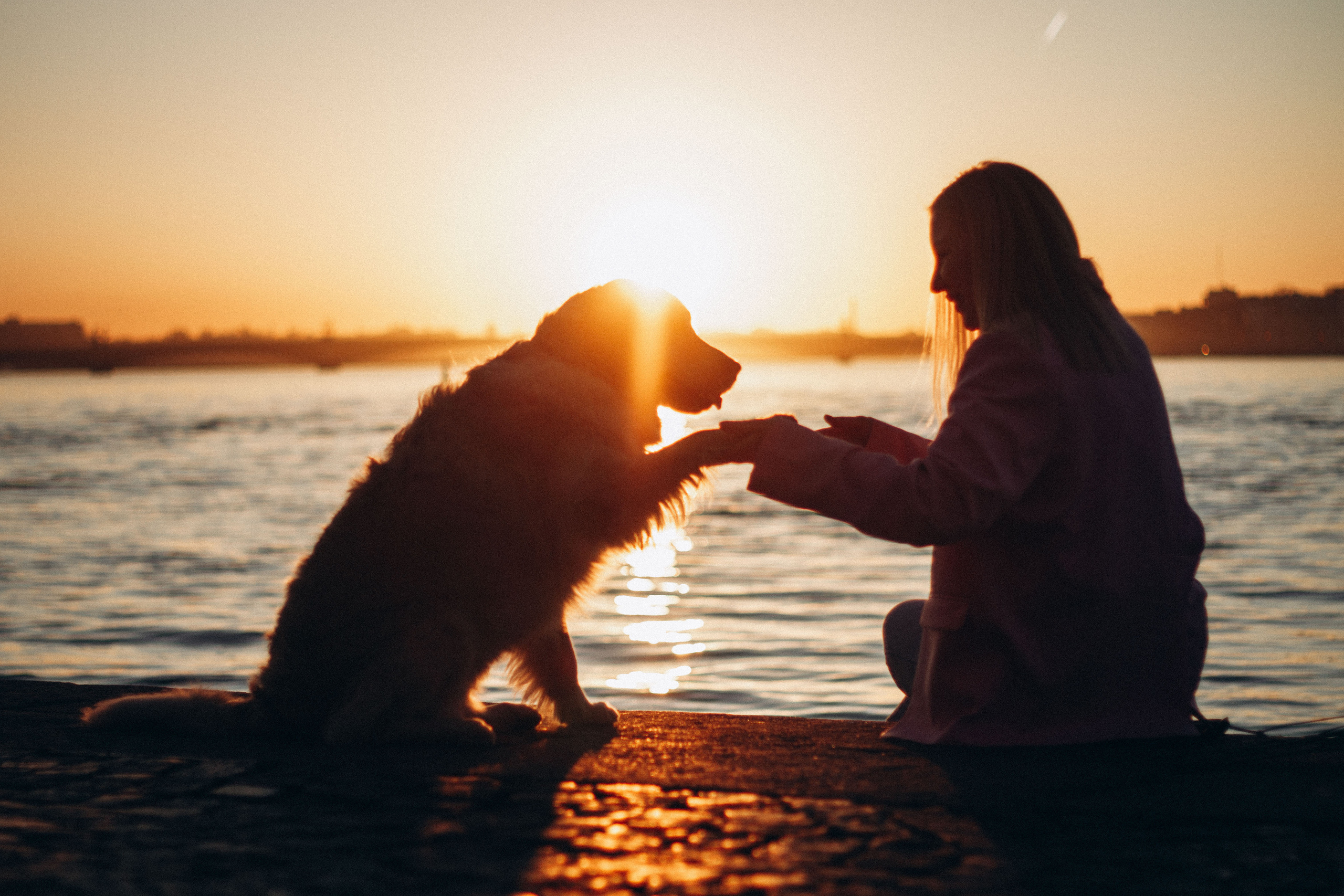 Настя и Марси. Фотограф — Анималист | Санкт-Петербург