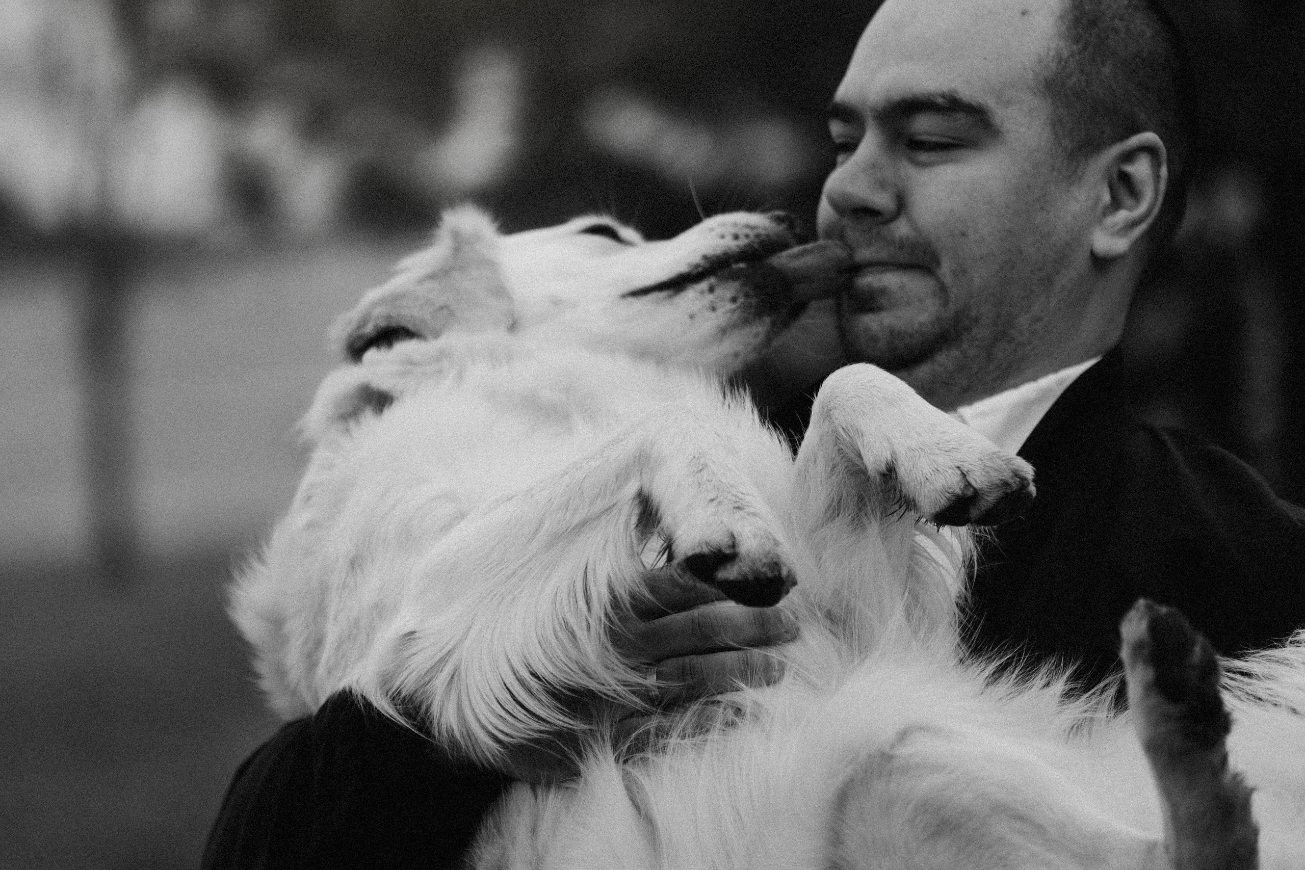 Молли и ее семья. Фотограф — Анималист | Санкт-Петербург