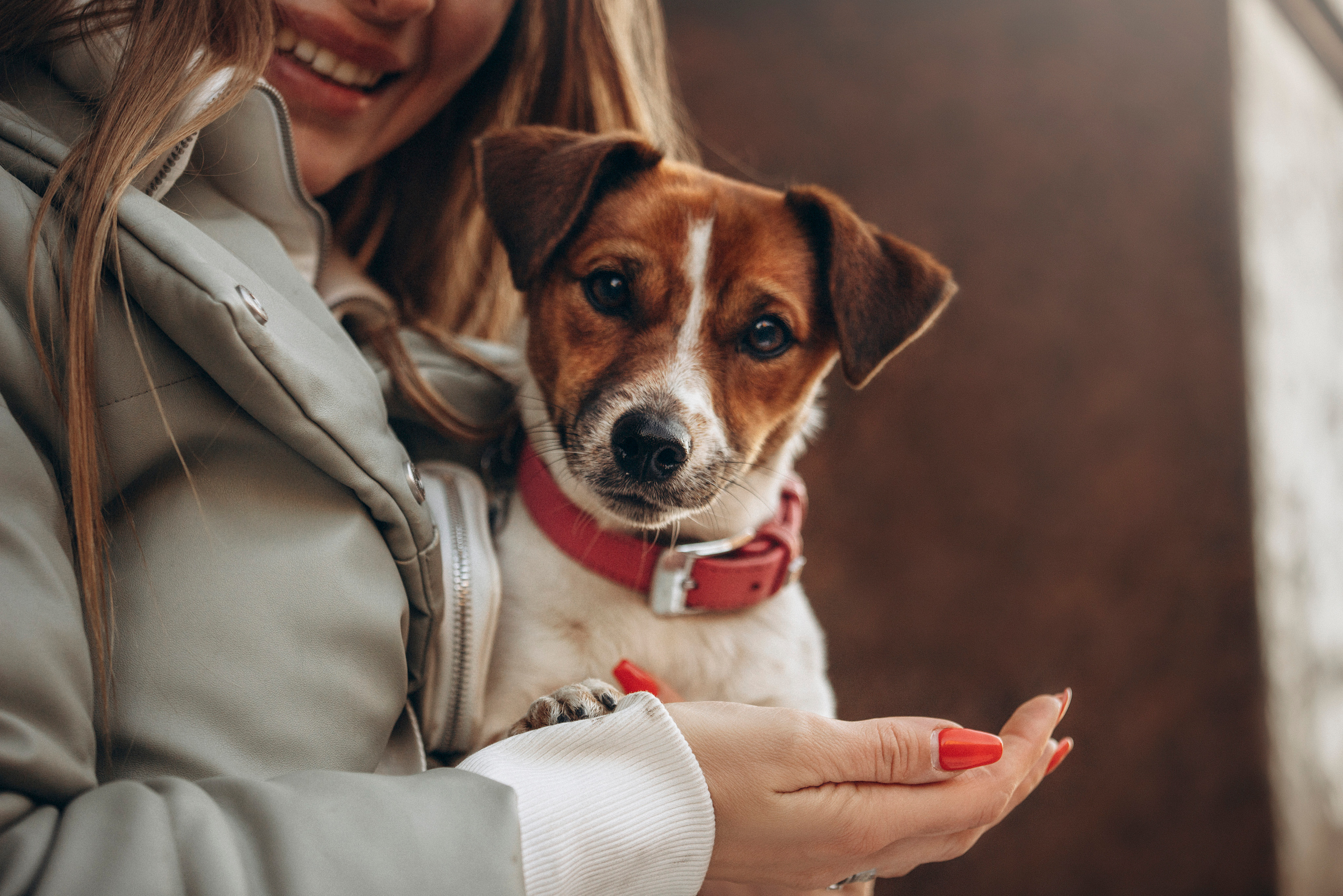 Лиза и Грета. Фотограф — Анималист | Санкт-Петербург