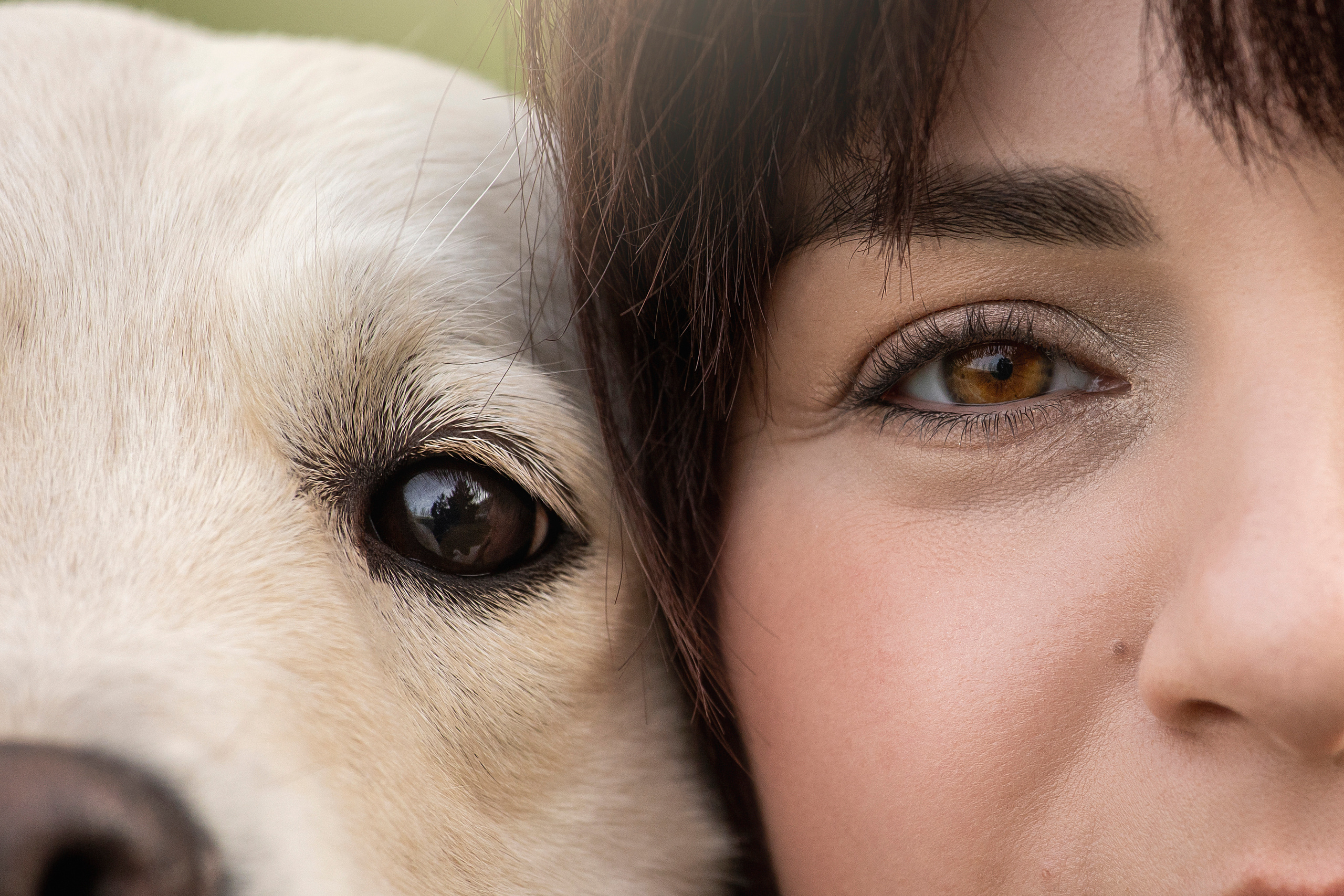 Молли и ее семья. Фотограф — Анималист | Санкт-Петербург