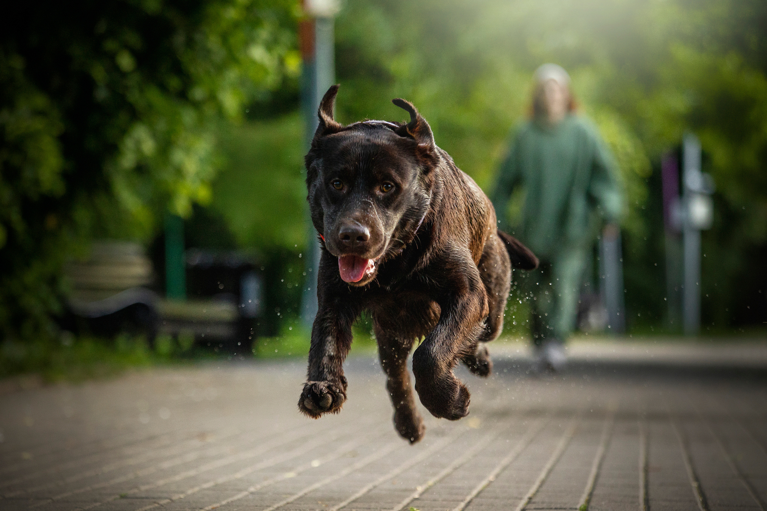 Арина и Сэмми. Фотограф — Анималист | Санкт-Петербург
