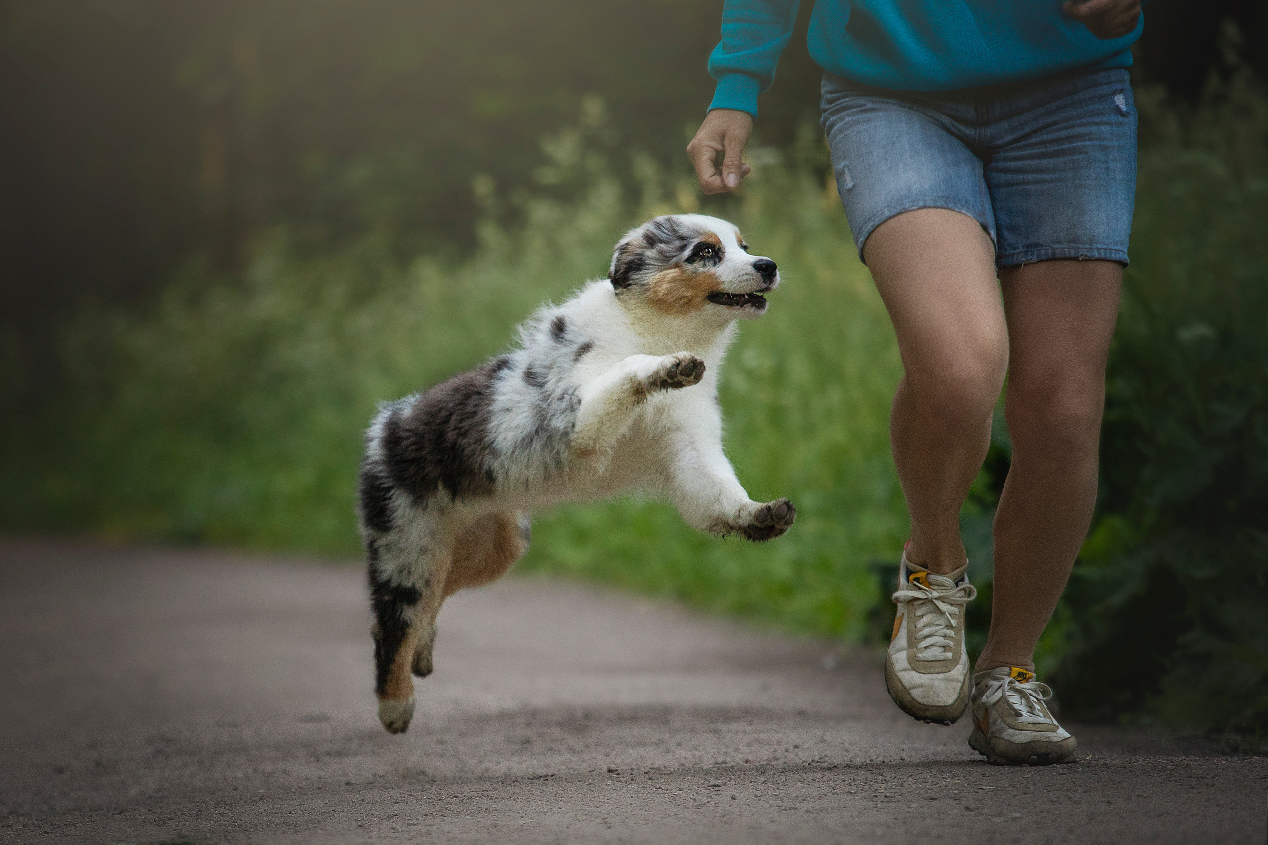 Ирина и Кайса. Фотограф — Анималист | Санкт-Петербург