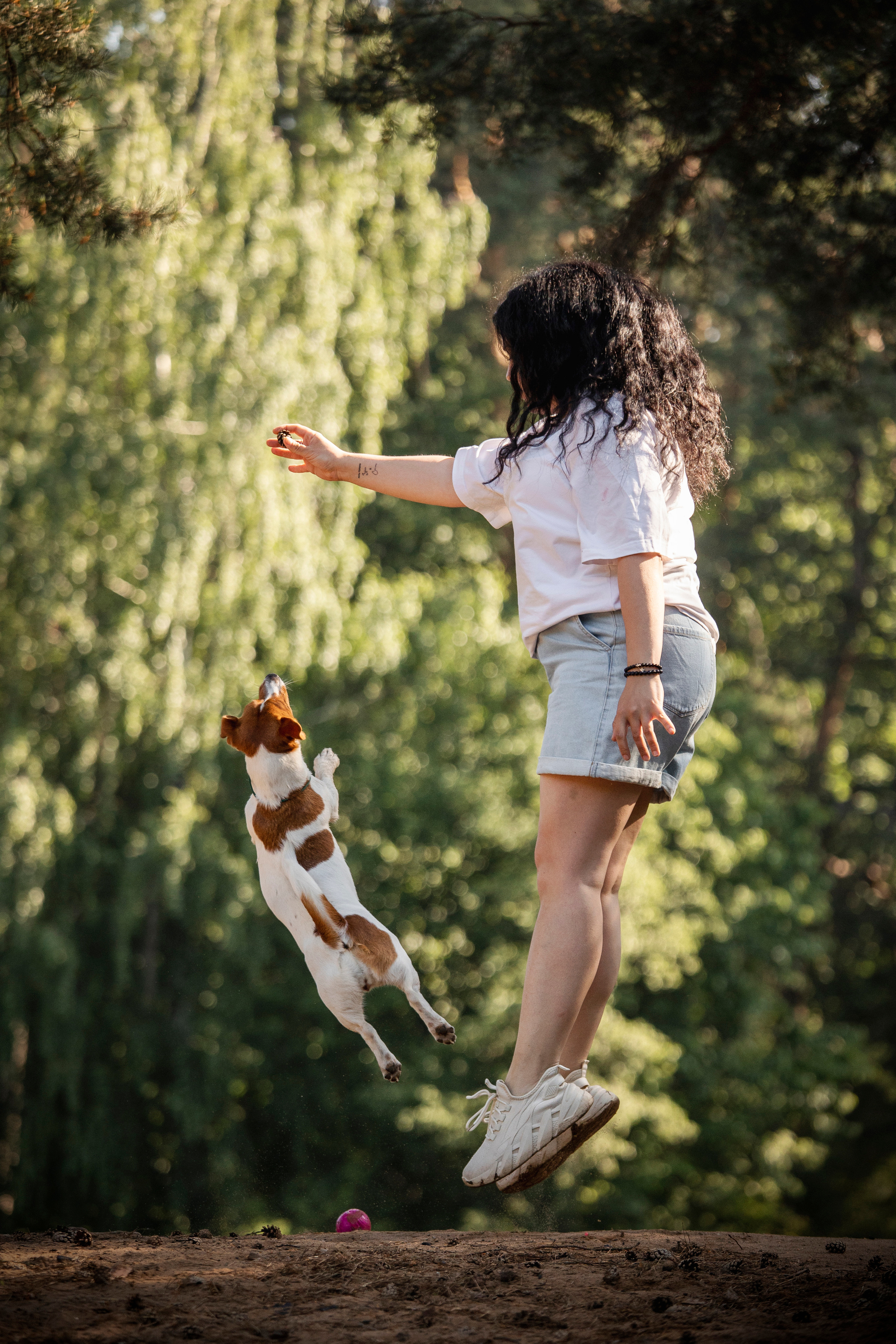 Наташа и Мерси. Фотограф — Анималист | Санкт-Петербург