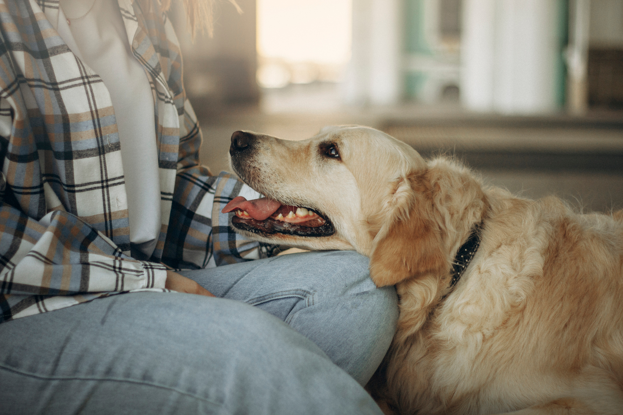 Настя и Марси. Фотограф — Анималист | Санкт-Петербург