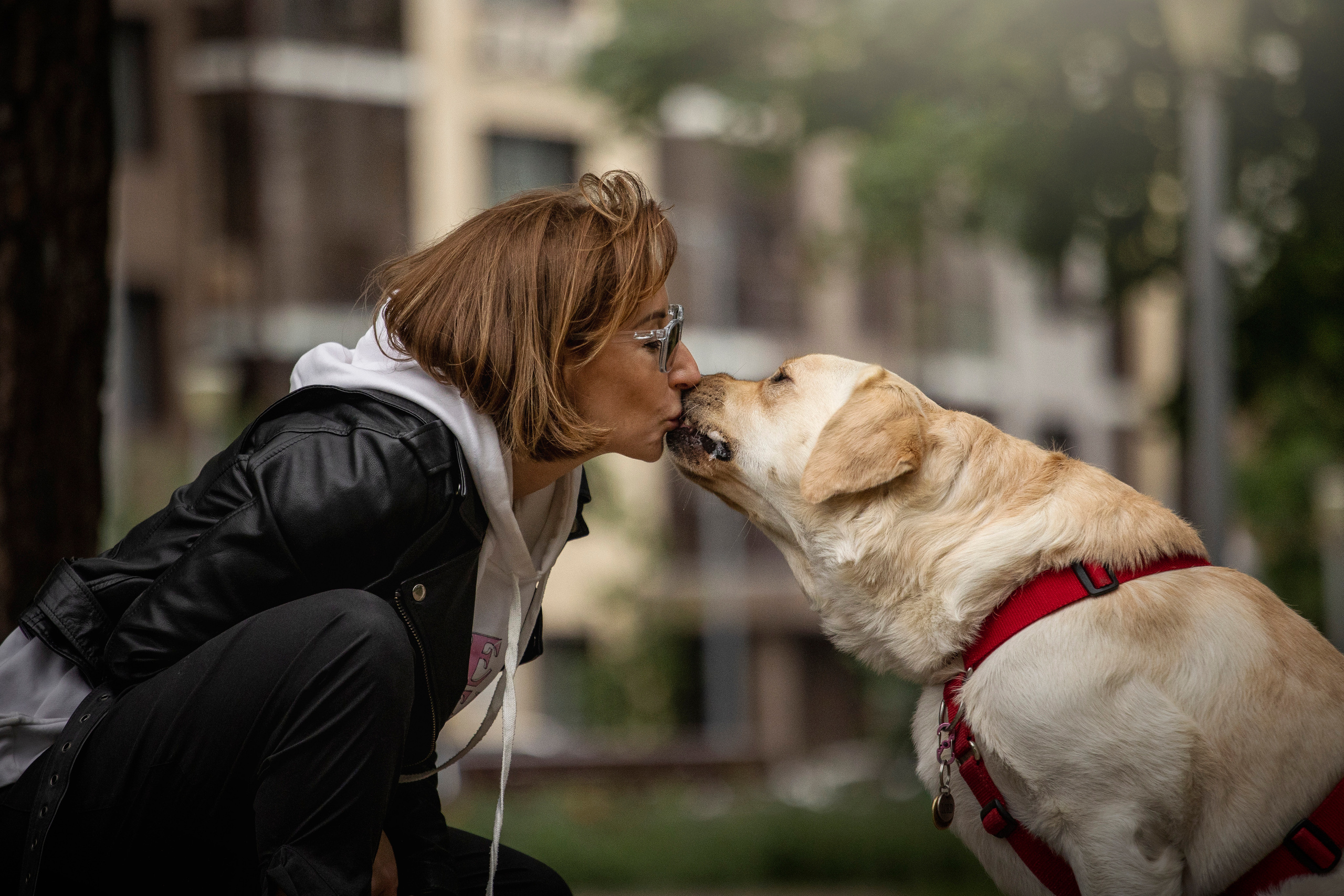 Наталья и Лорд. Фотограф — Анималист | Санкт-Петербург
