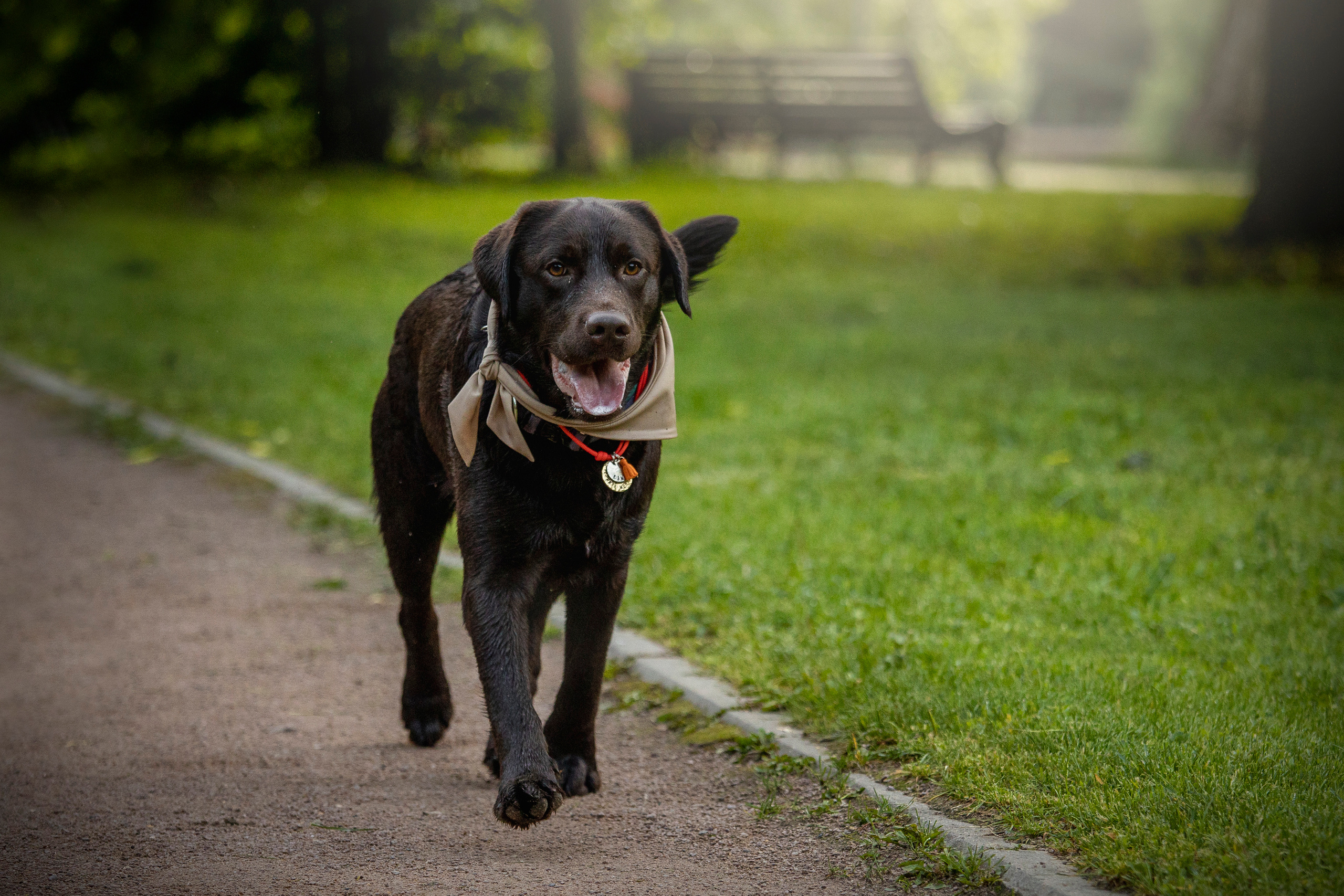 Арина и Сэмми. Фотограф — Анималист | Санкт-Петербург