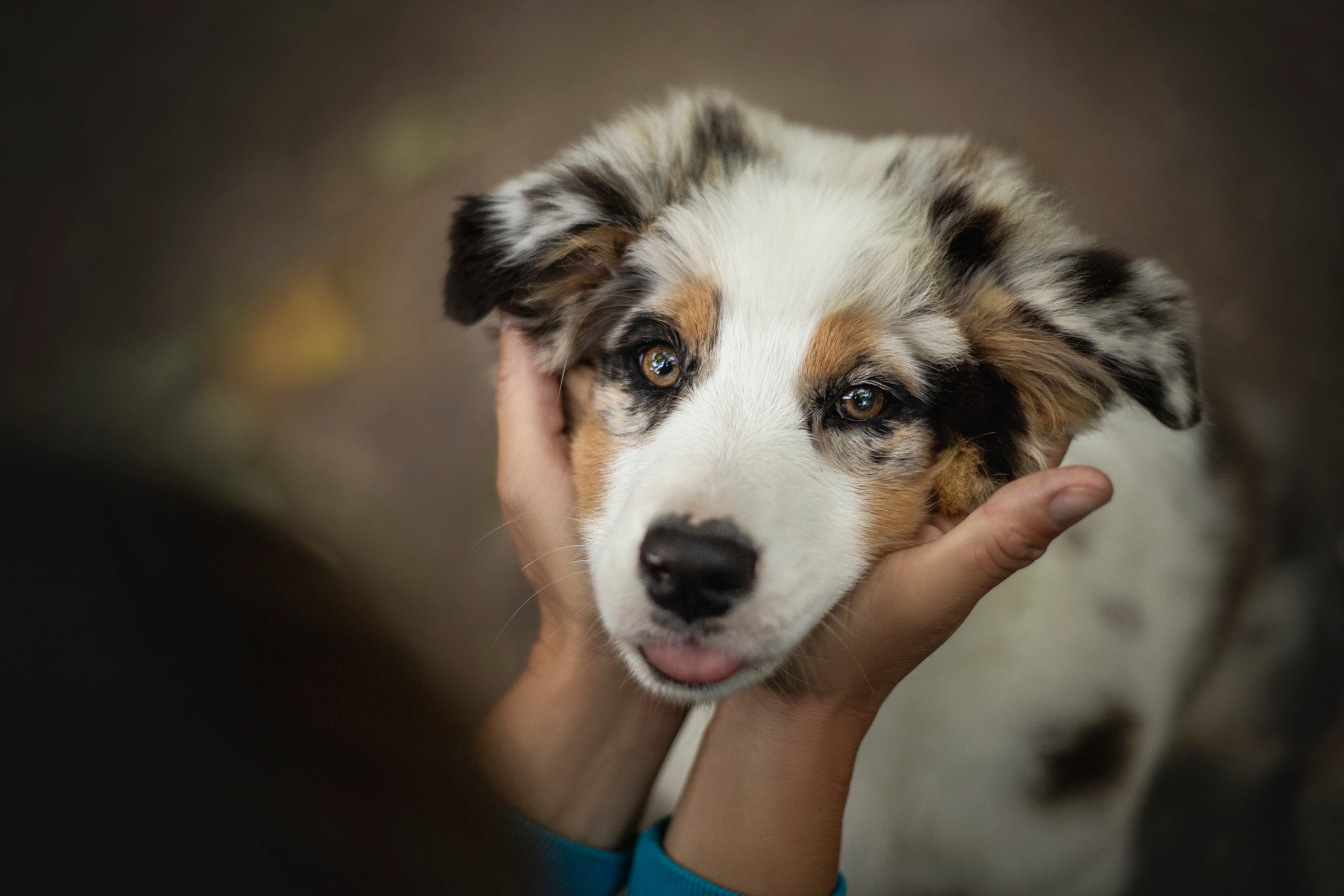 Ирина и Кайса. Фотограф — Анималист | Санкт-Петербург