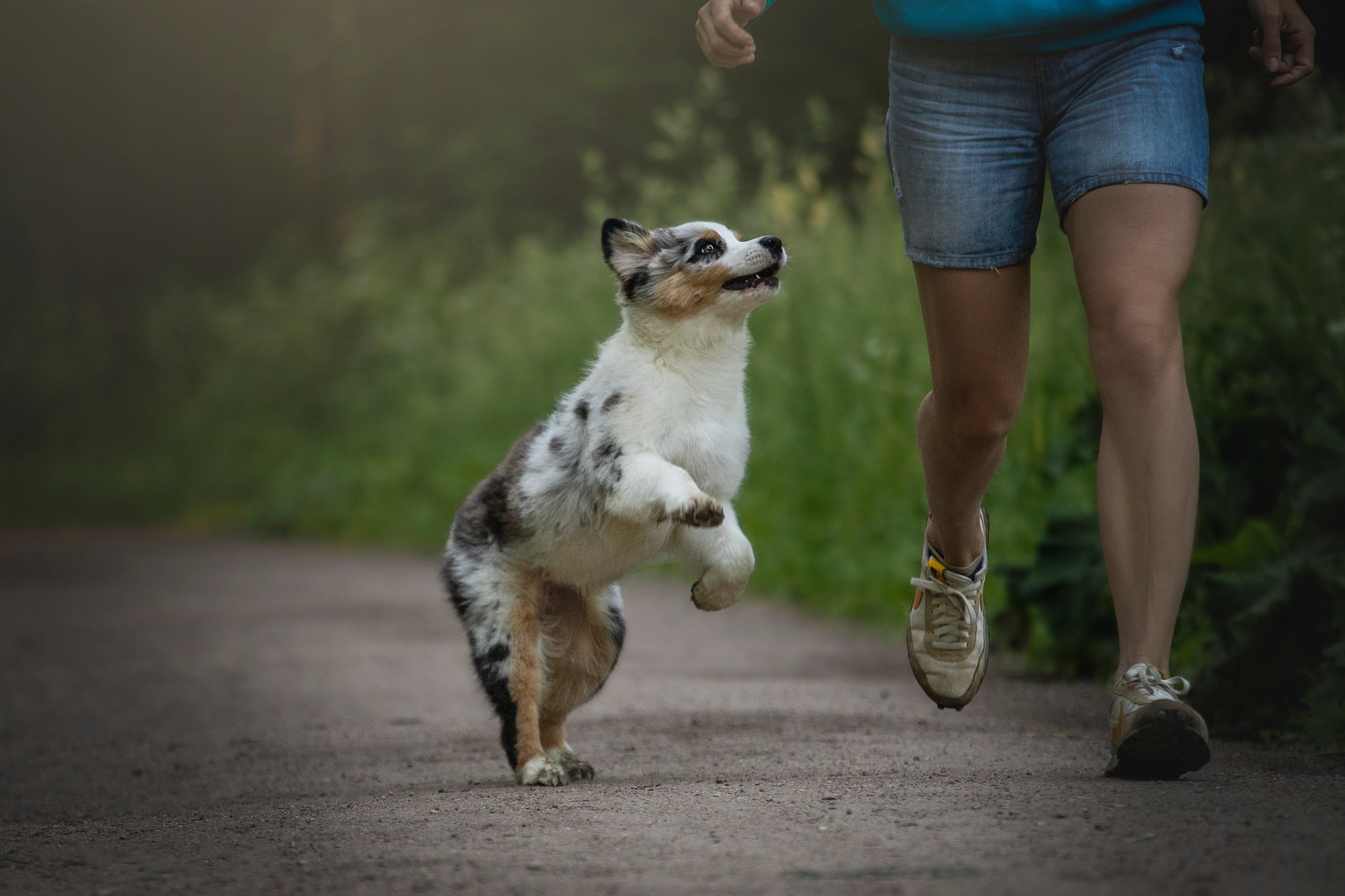 Ирина и Кайса. Фотограф — Анималист | Санкт-Петербург