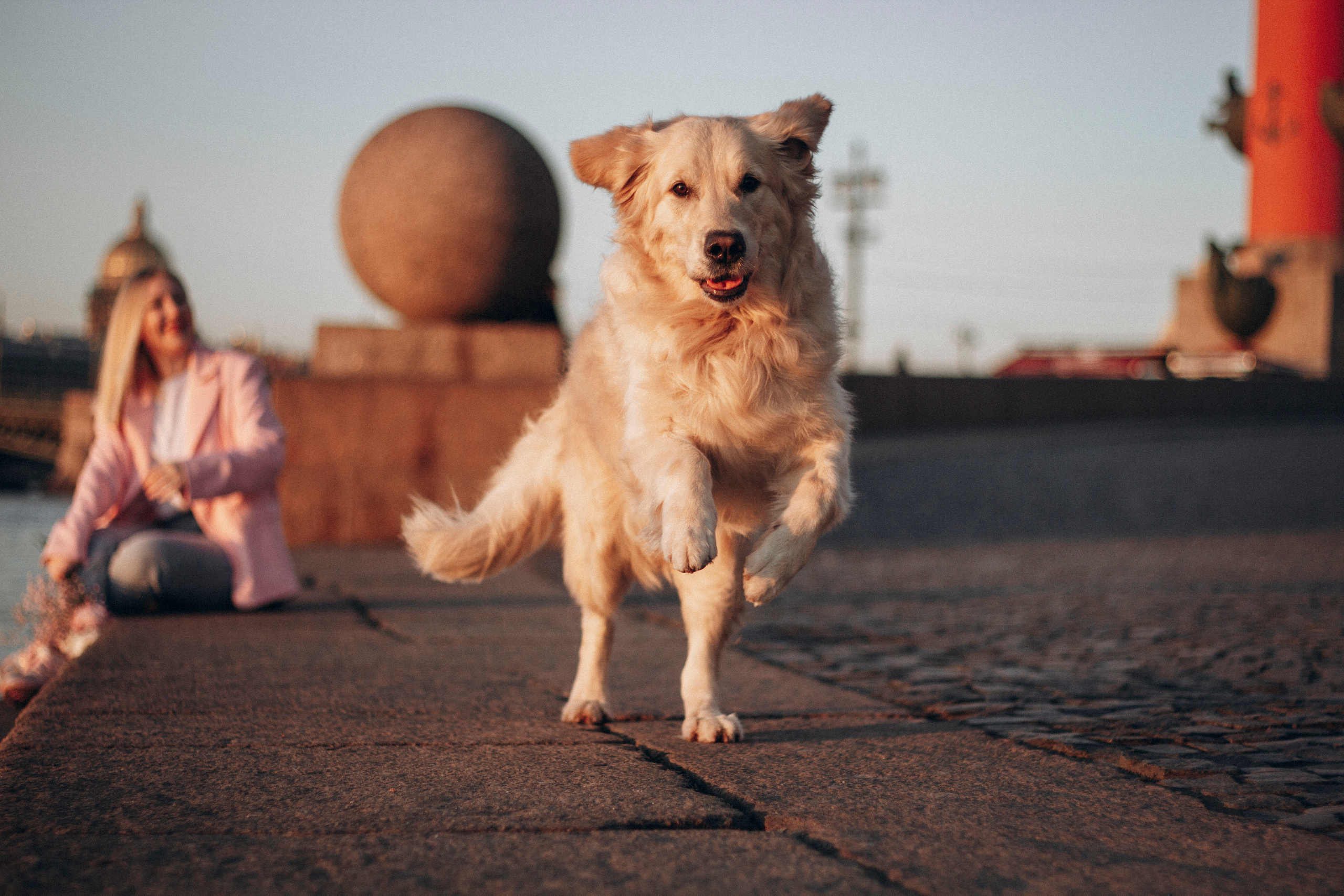 Настя и Марси. Фотограф — Анималист | Санкт-Петербург