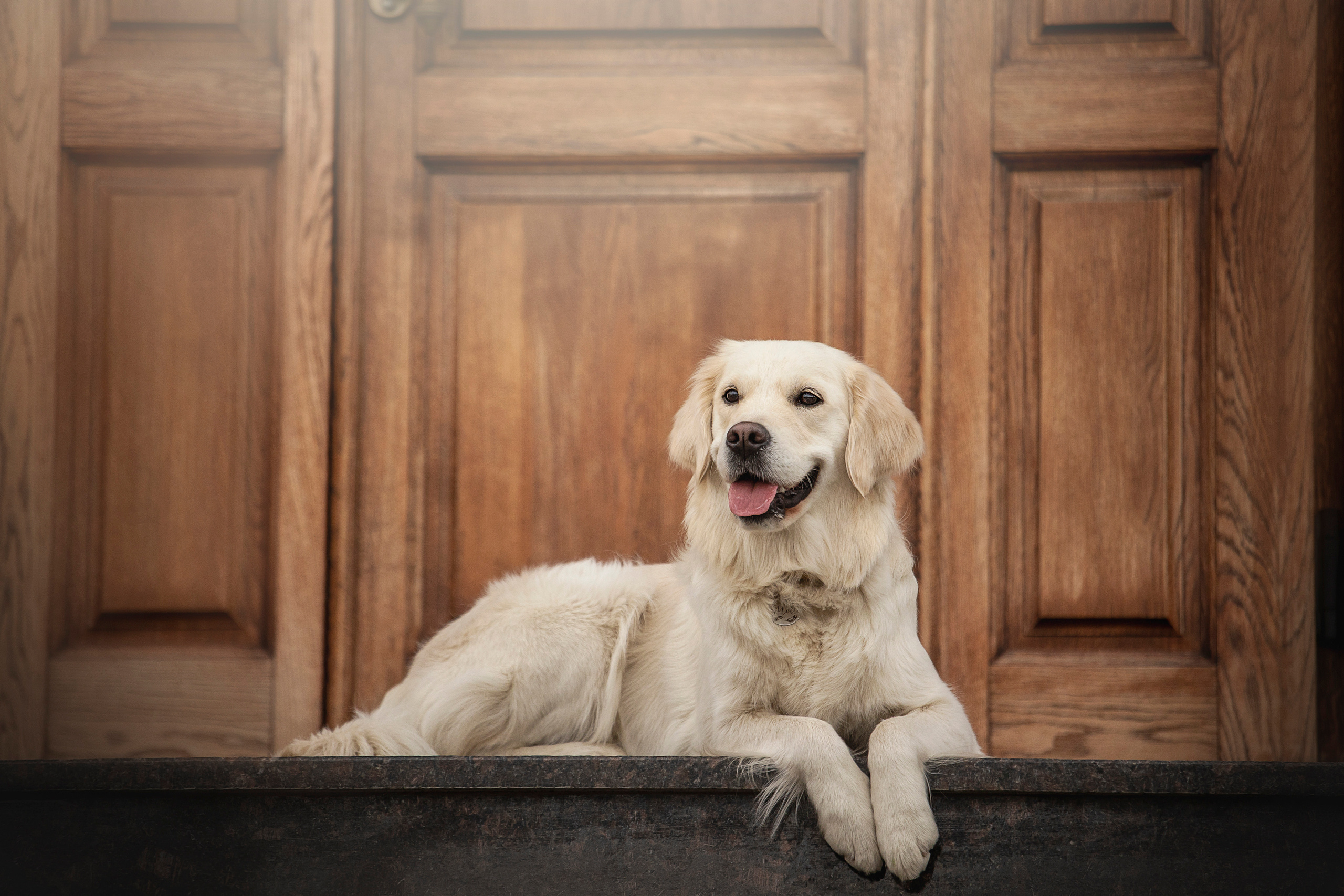 Молли и ее семья. Фотограф — Анималист | Санкт-Петербург