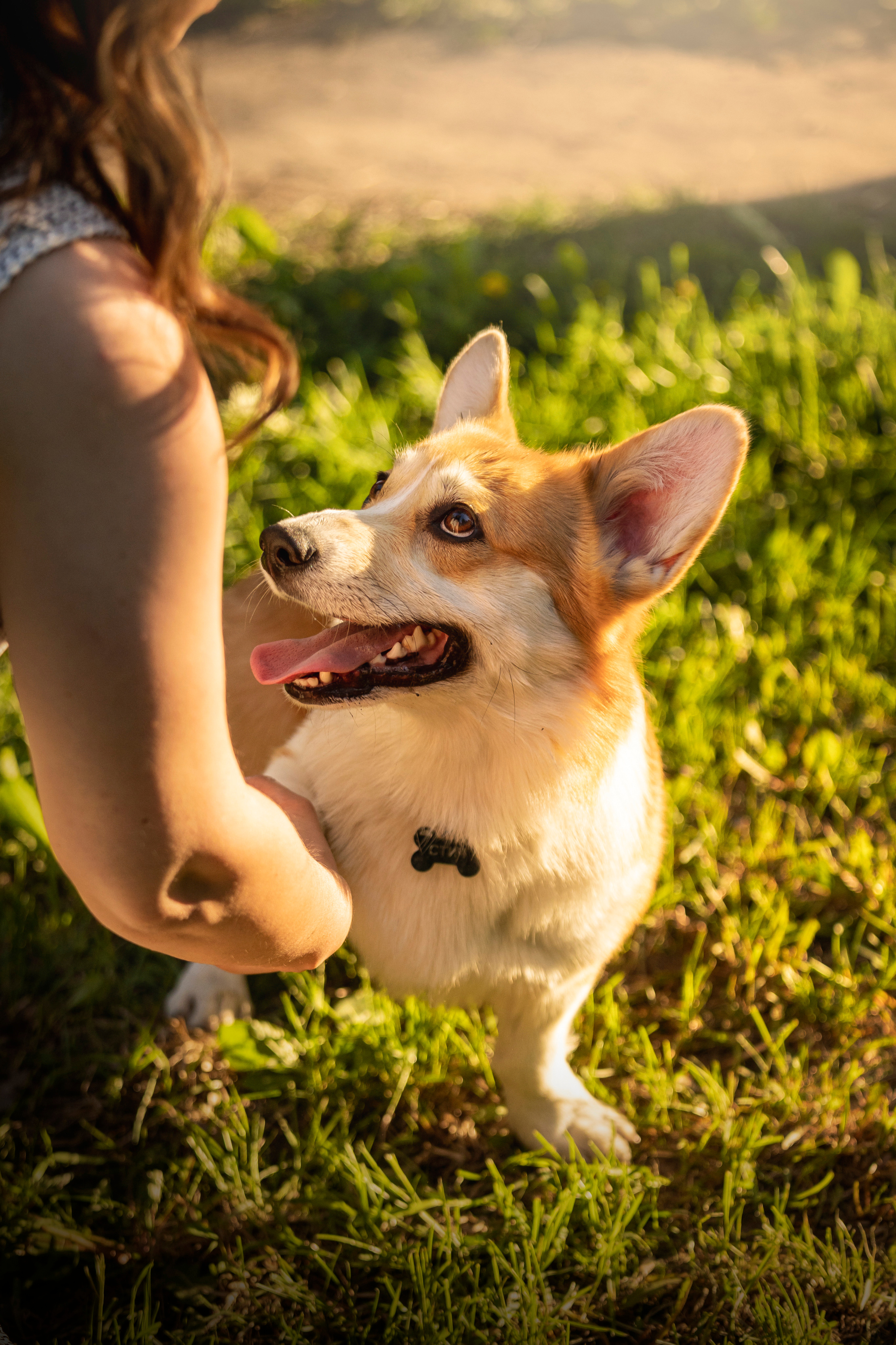 Настя и Стич. Фотограф — Анималист | Санкт-Петербург