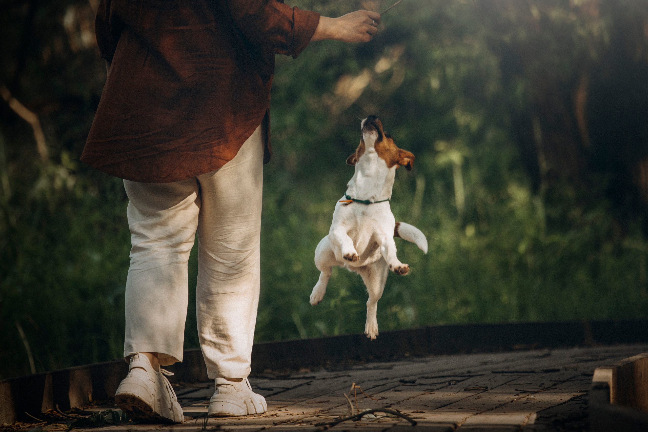 Наташа и Мерси. Фотограф — Анималист | Санкт-Петербург