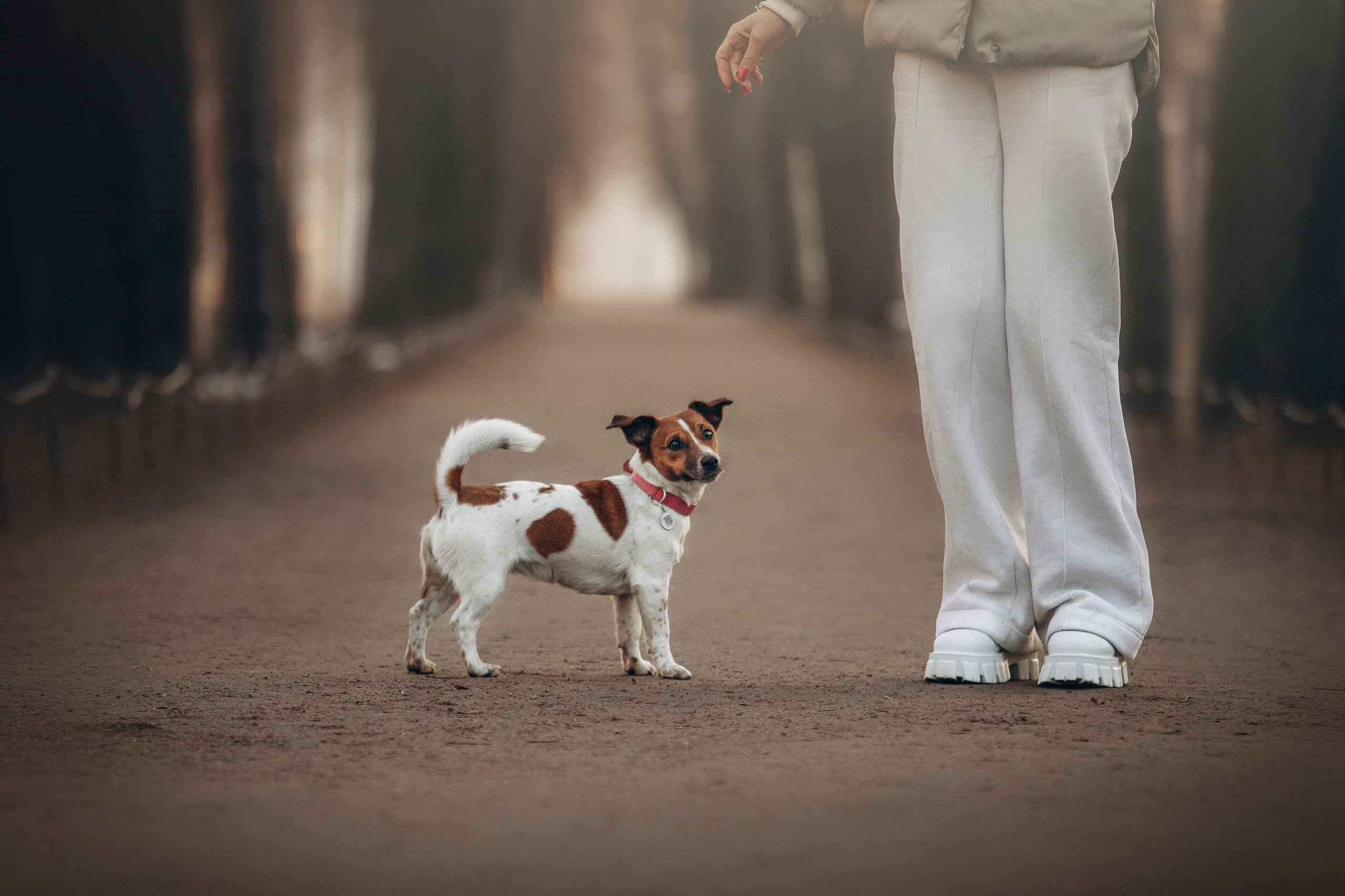 Лиза и Грета. Фотограф — Анималист | Санкт-Петербург