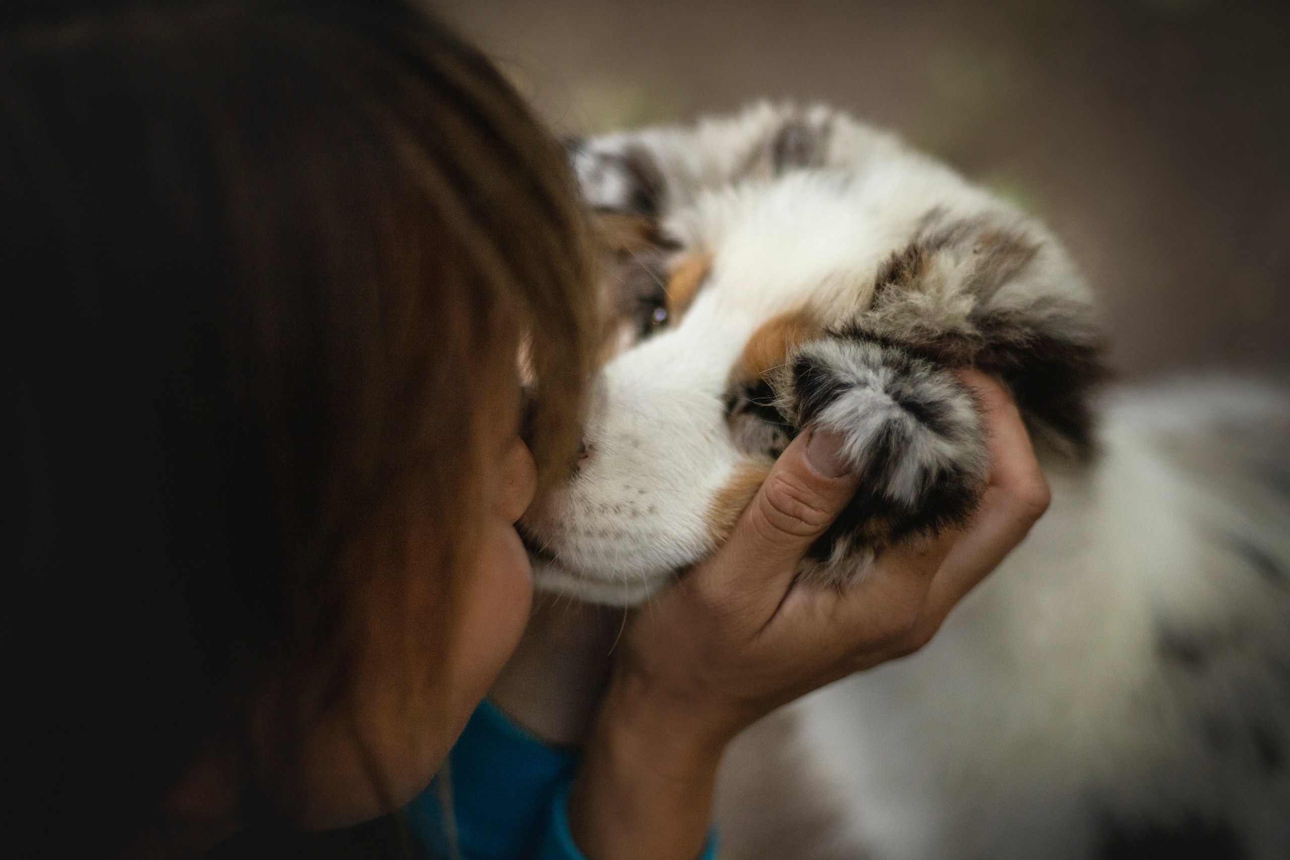 Ирина и Кайса. Фотограф — Анималист | Санкт-Петербург