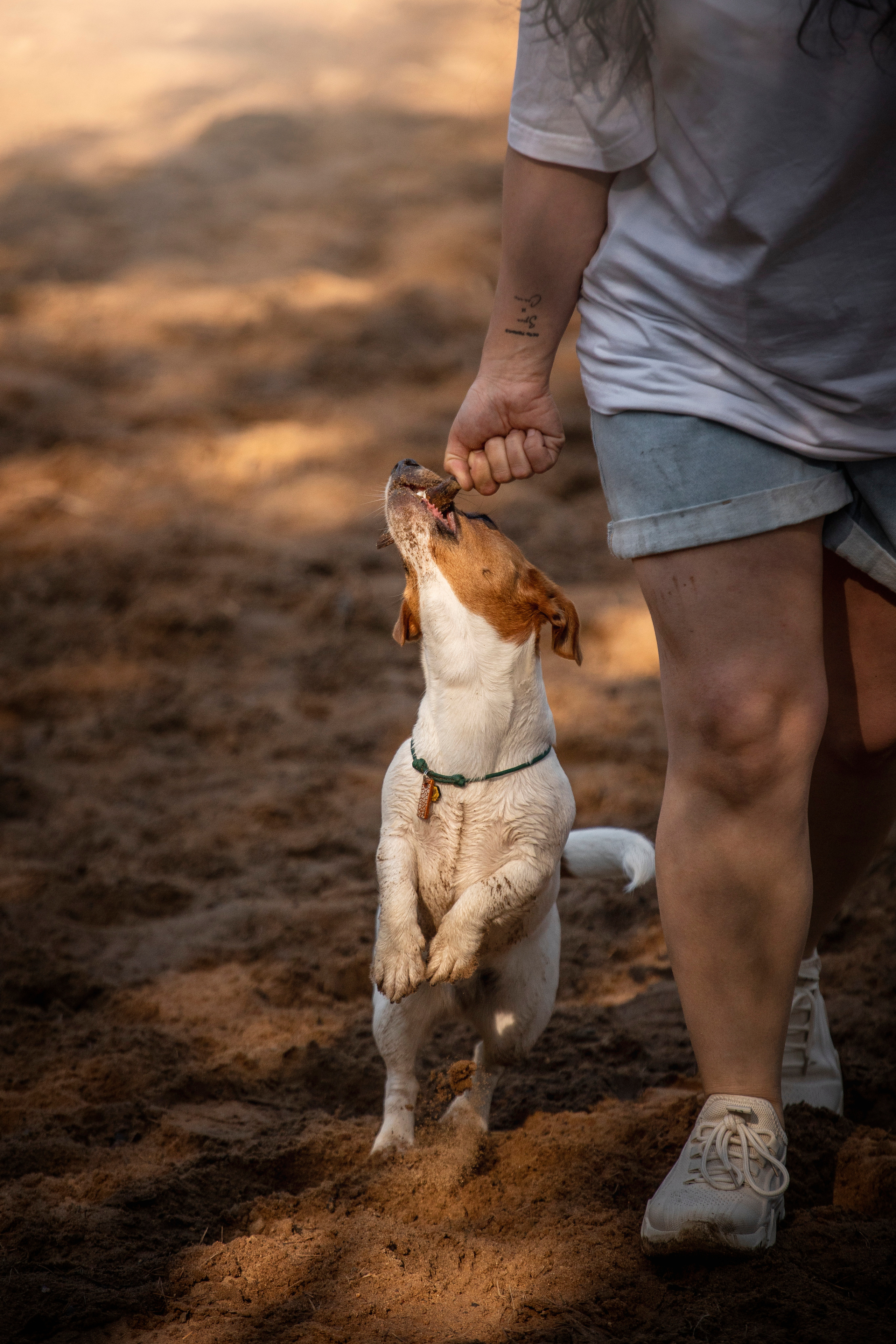 Наташа и Мерси. Фотограф — Анималист | Санкт-Петербург