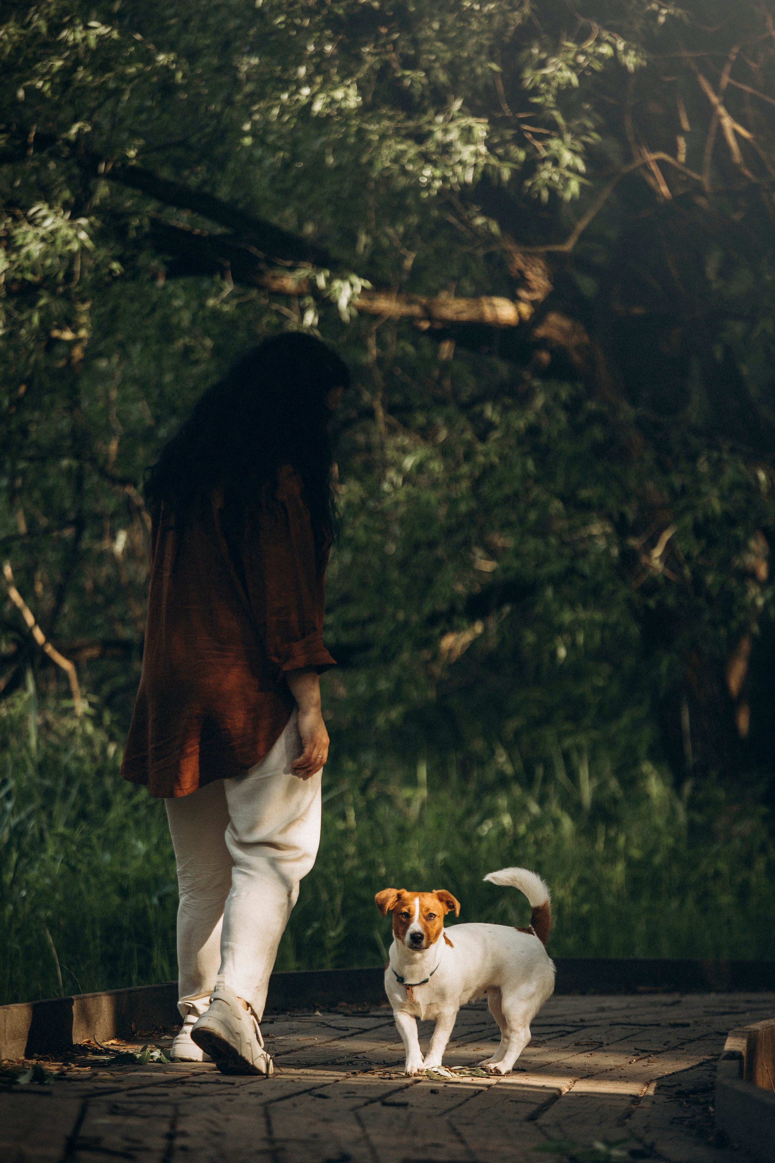 Наташа и Мерси. Фотограф — Анималист | Санкт-Петербург