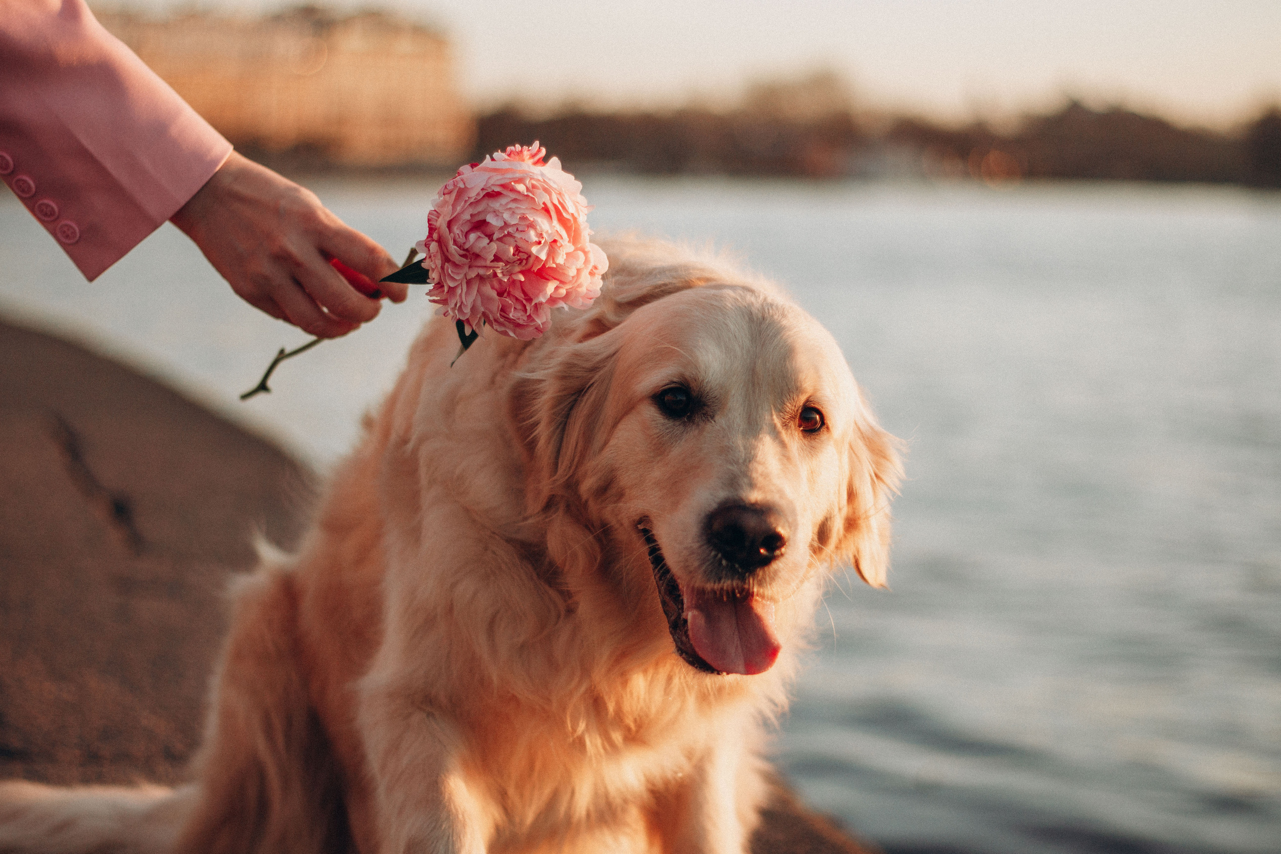 Настя и Марси. Фотограф — Анималист | Санкт-Петербург