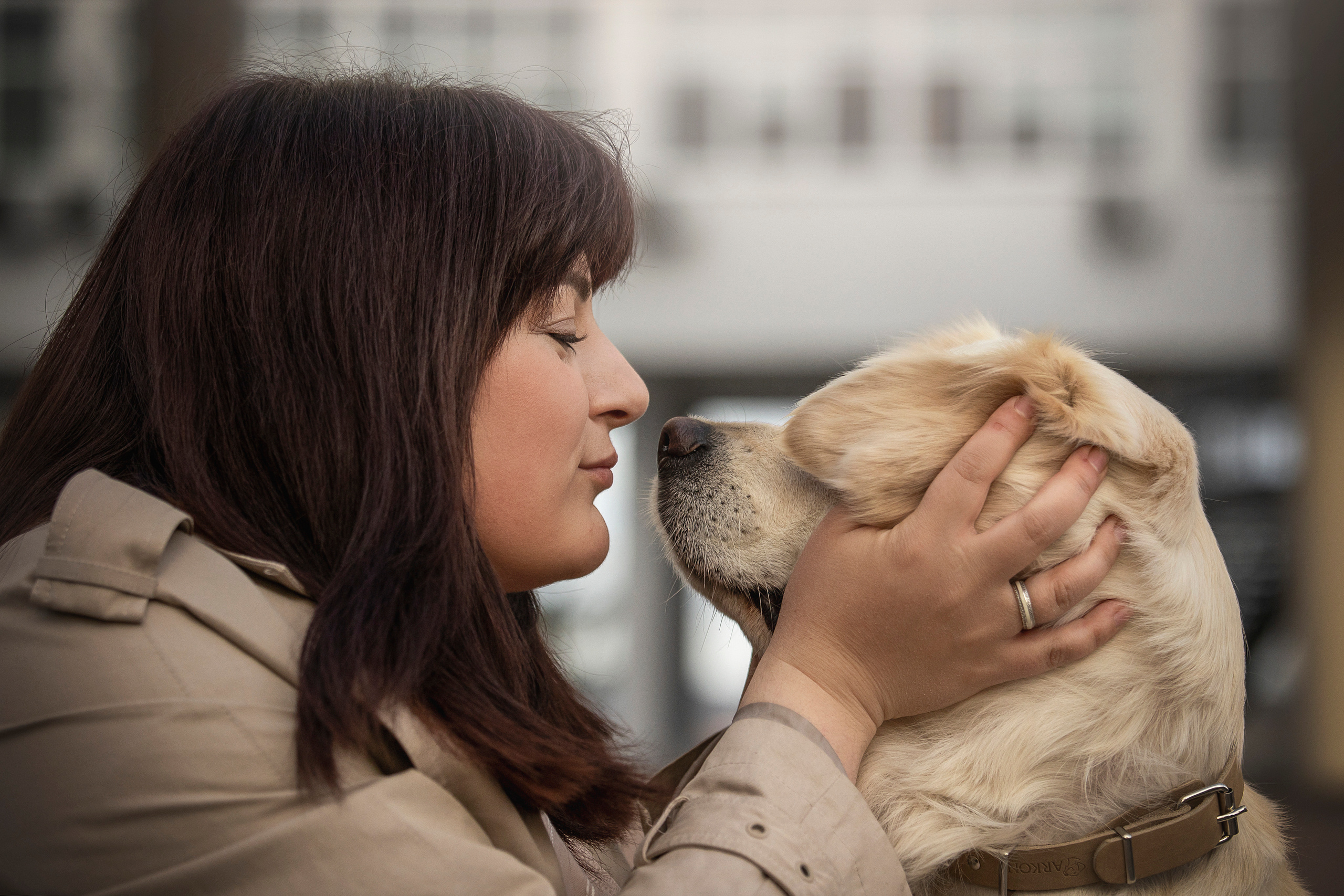 Молли и ее семья. Фотограф — Анималист | Санкт-Петербург