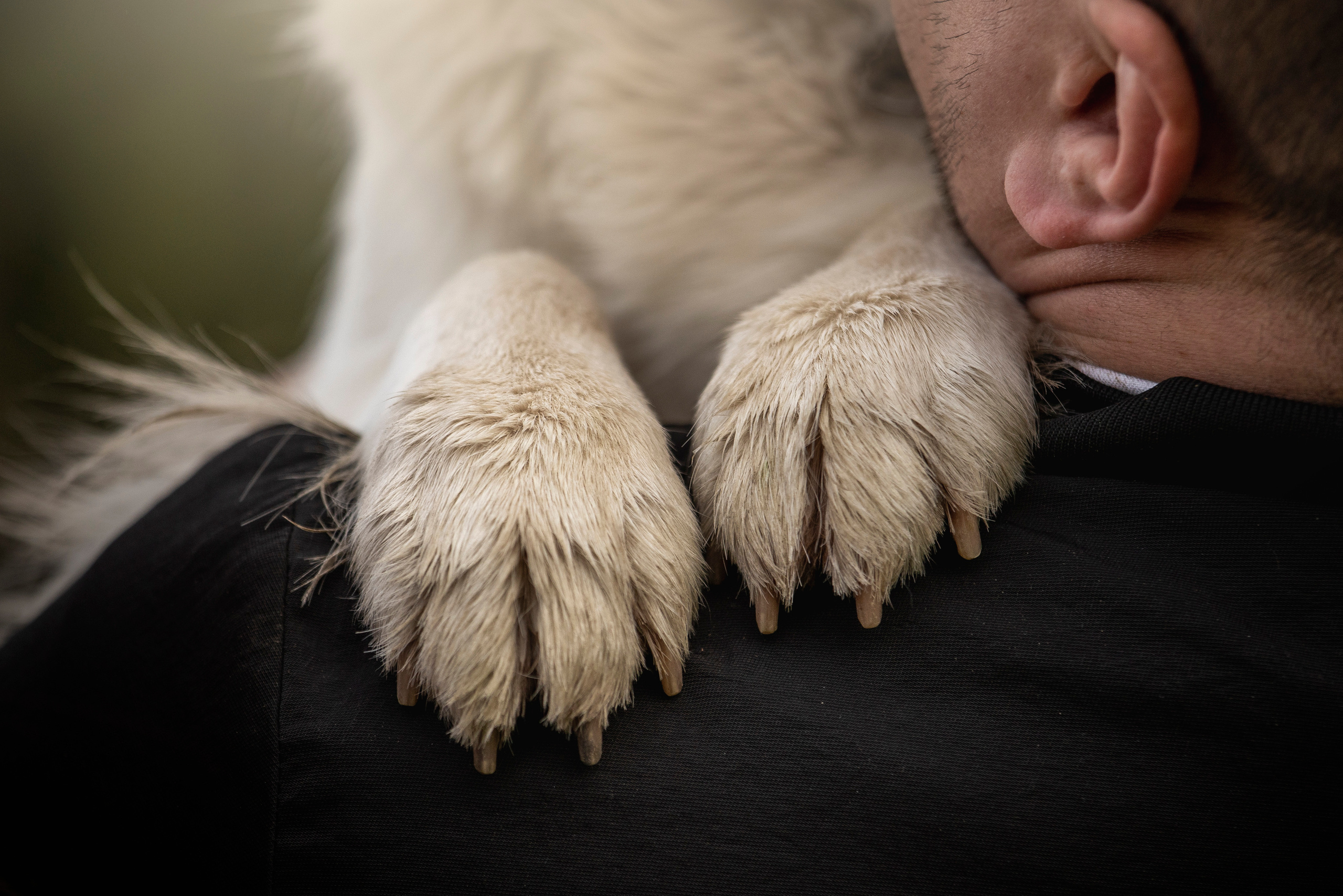 Молли и ее семья. Фотограф — Анималист | Санкт-Петербург