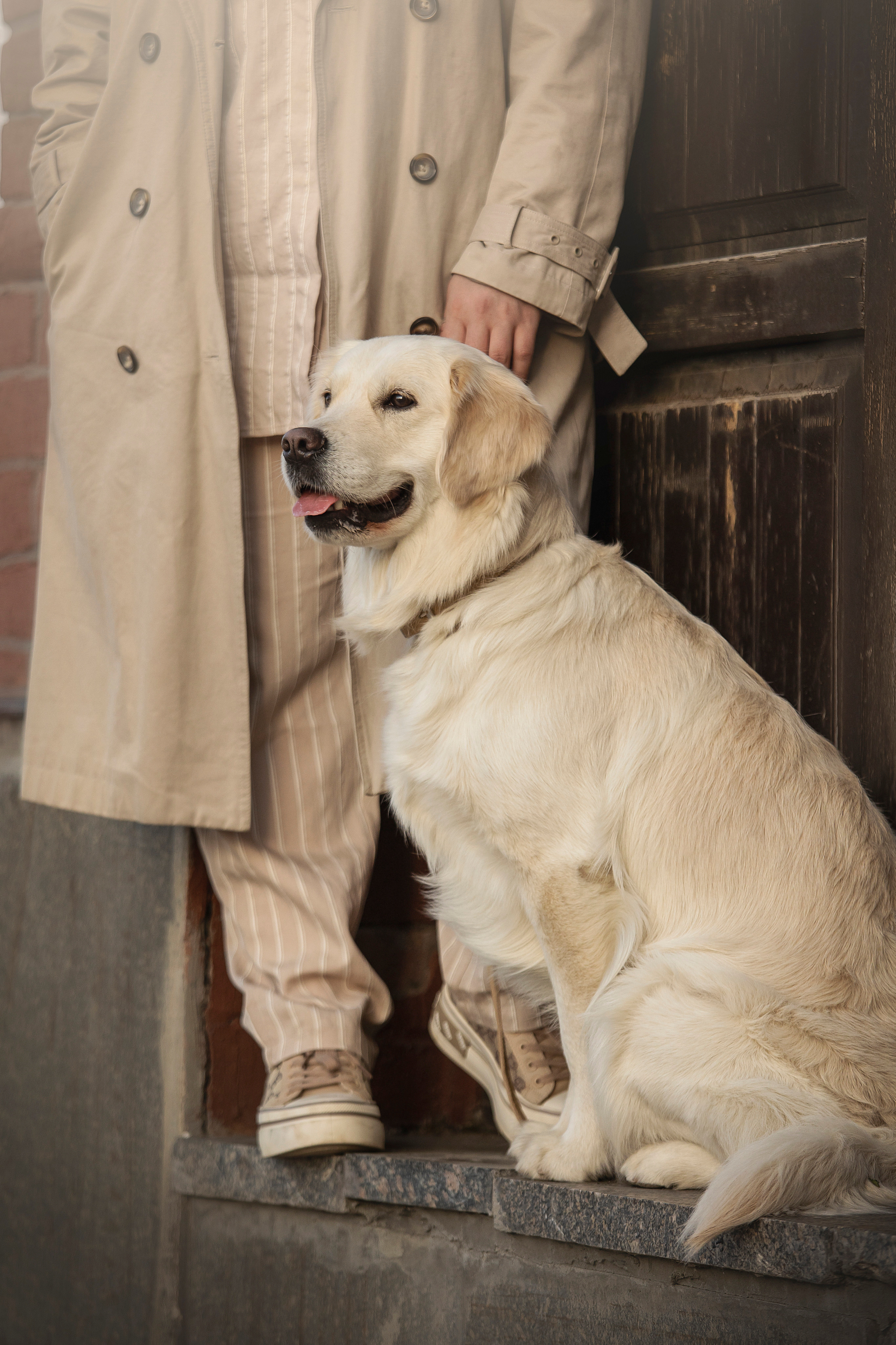 Молли и ее семья. Фотограф — Анималист | Санкт-Петербург