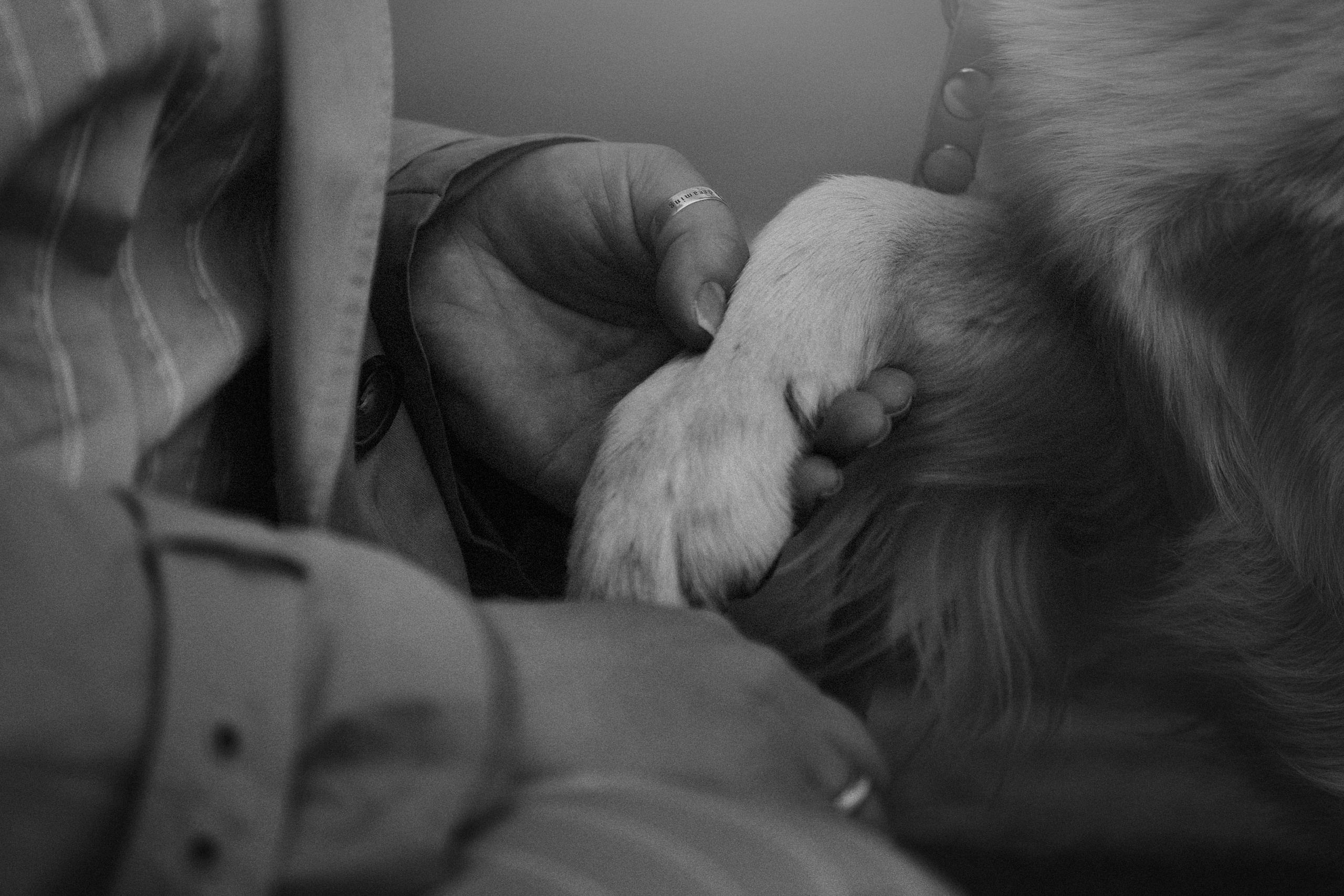 Молли и ее семья. Фотограф — Анималист | Санкт-Петербург