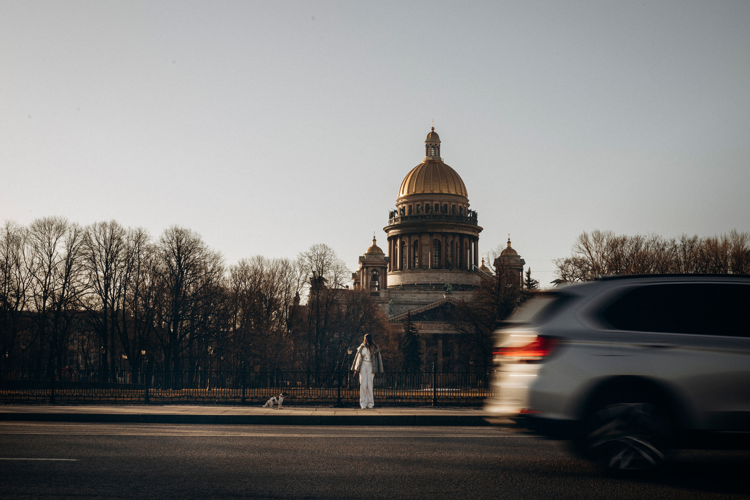 Лиза и Грета. Фотограф — Анималист | Санкт-Петербург
