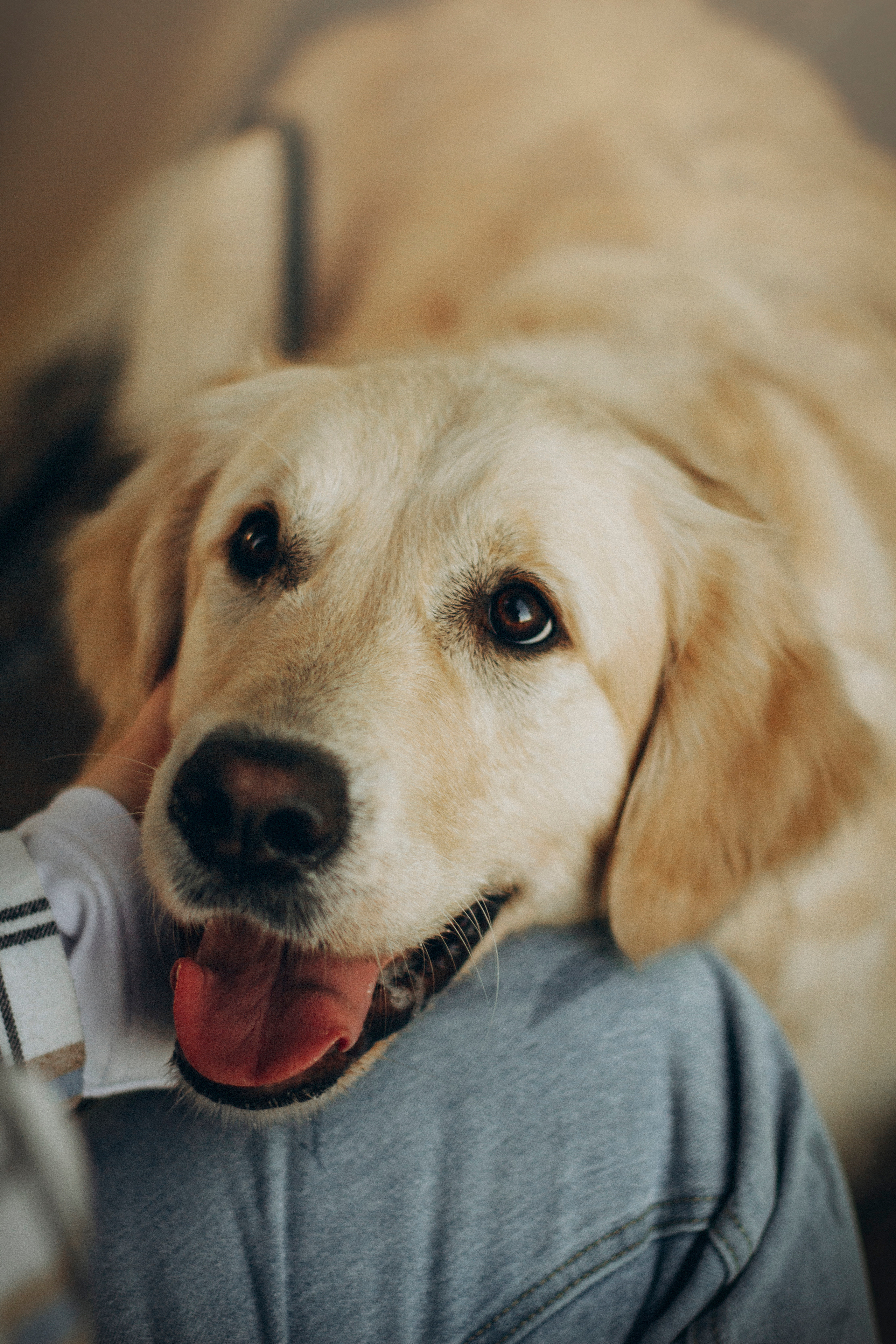 Настя и Марси. Фотограф — Анималист | Санкт-Петербург