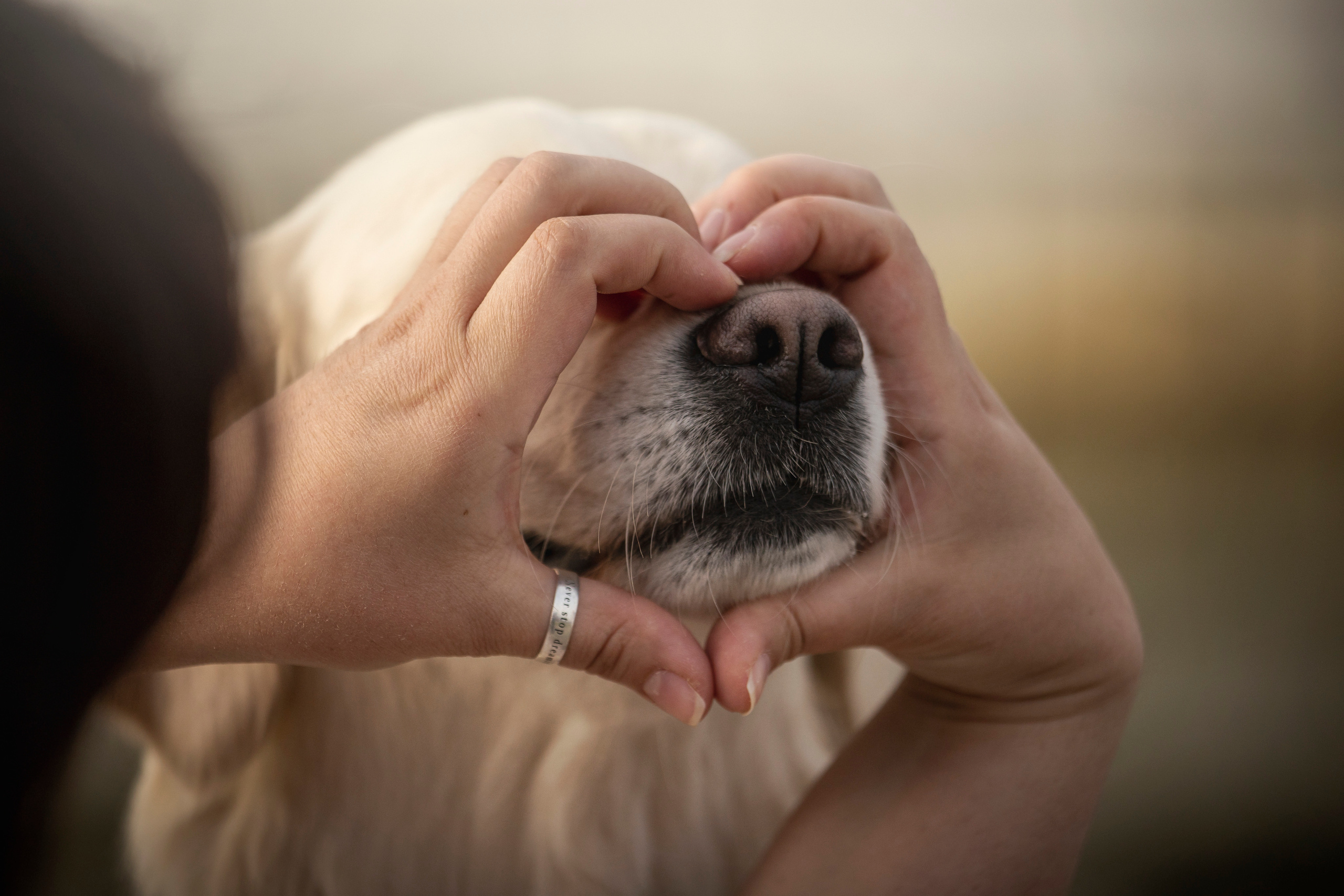 Молли и ее семья. Фотограф — Анималист | Санкт-Петербург