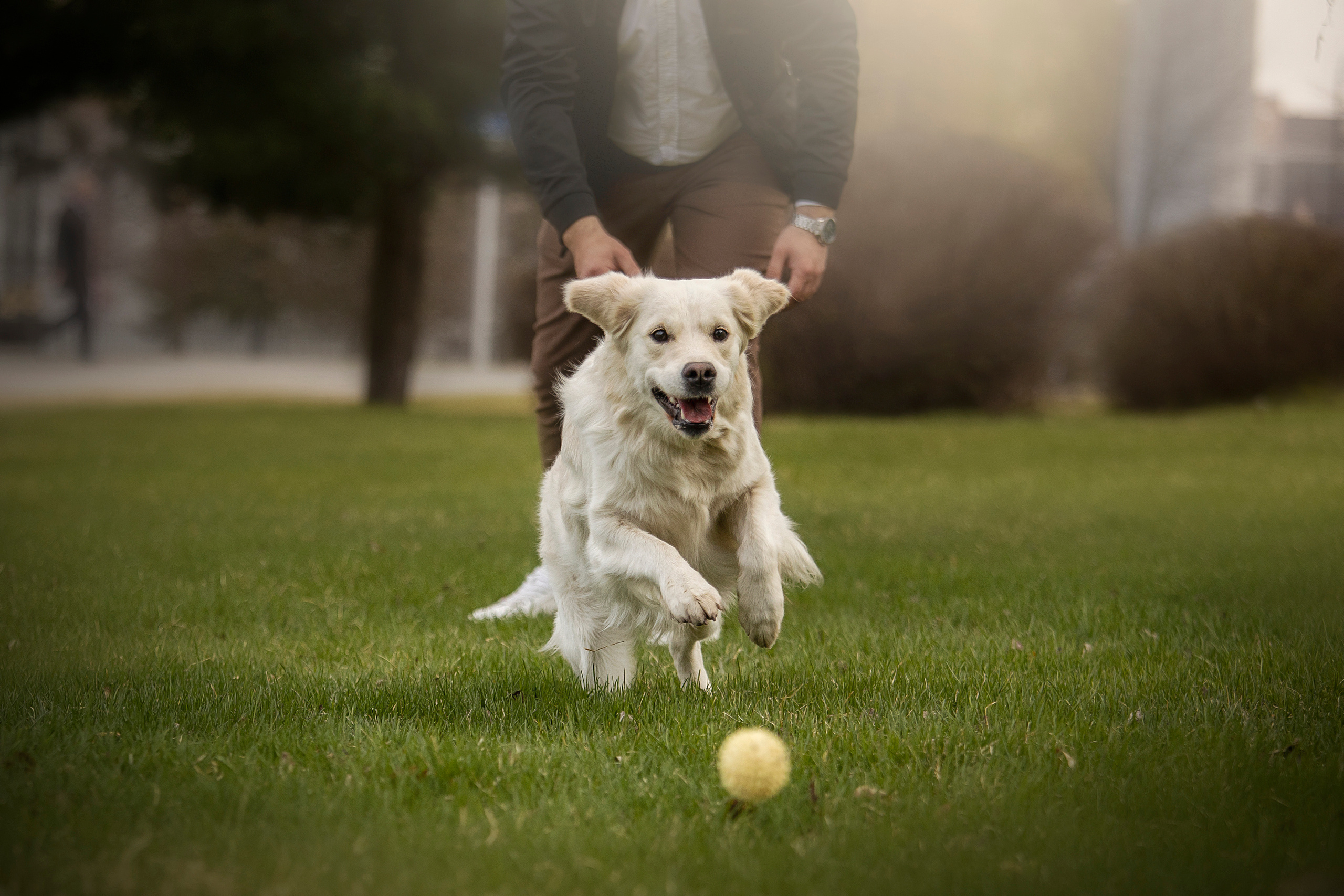 Молли и ее семья. Фотограф — Анималист | Санкт-Петербург
