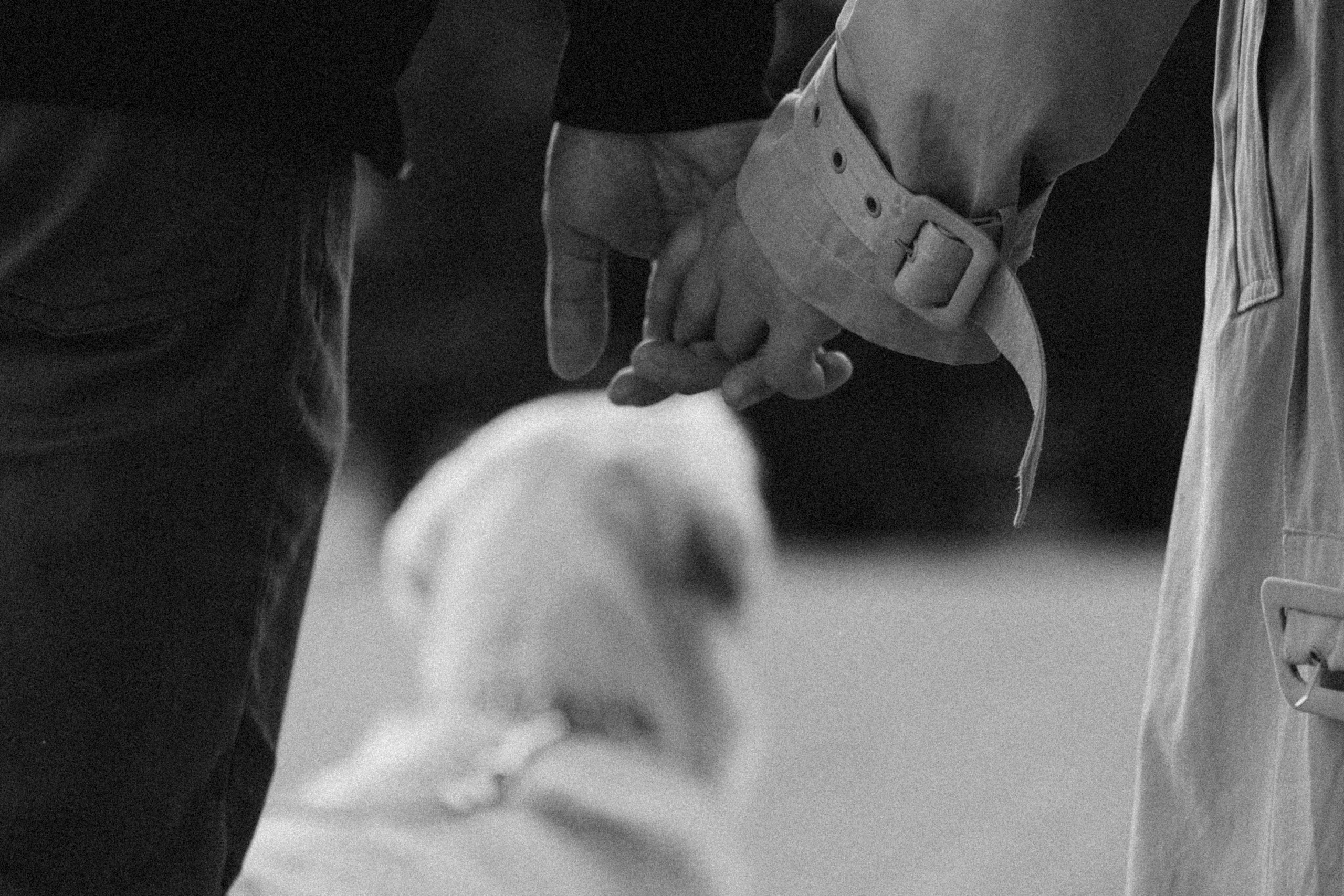 Молли и ее семья. Фотограф — Анималист | Санкт-Петербург