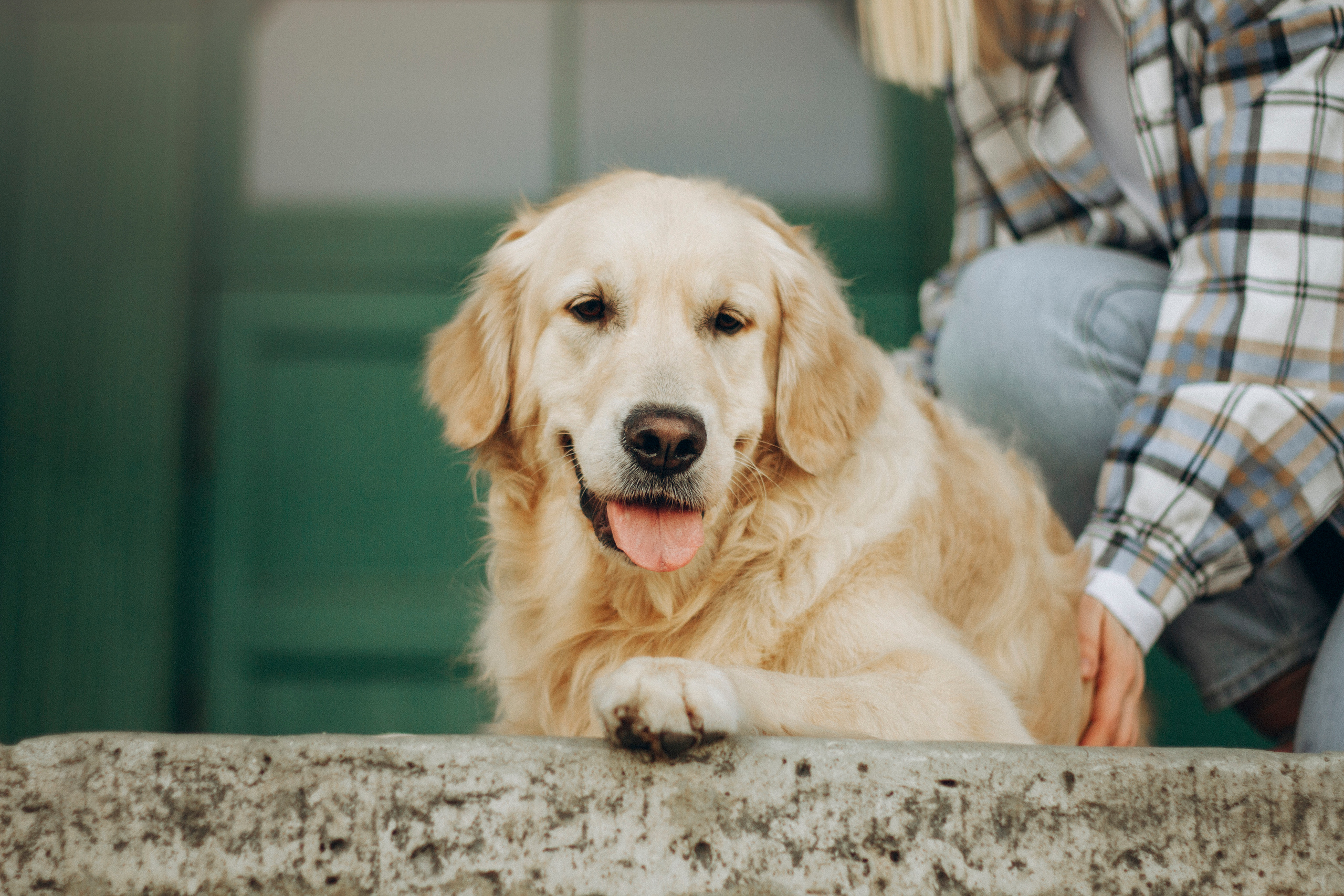 Настя и Марси. Фотограф — Анималист | Санкт-Петербург