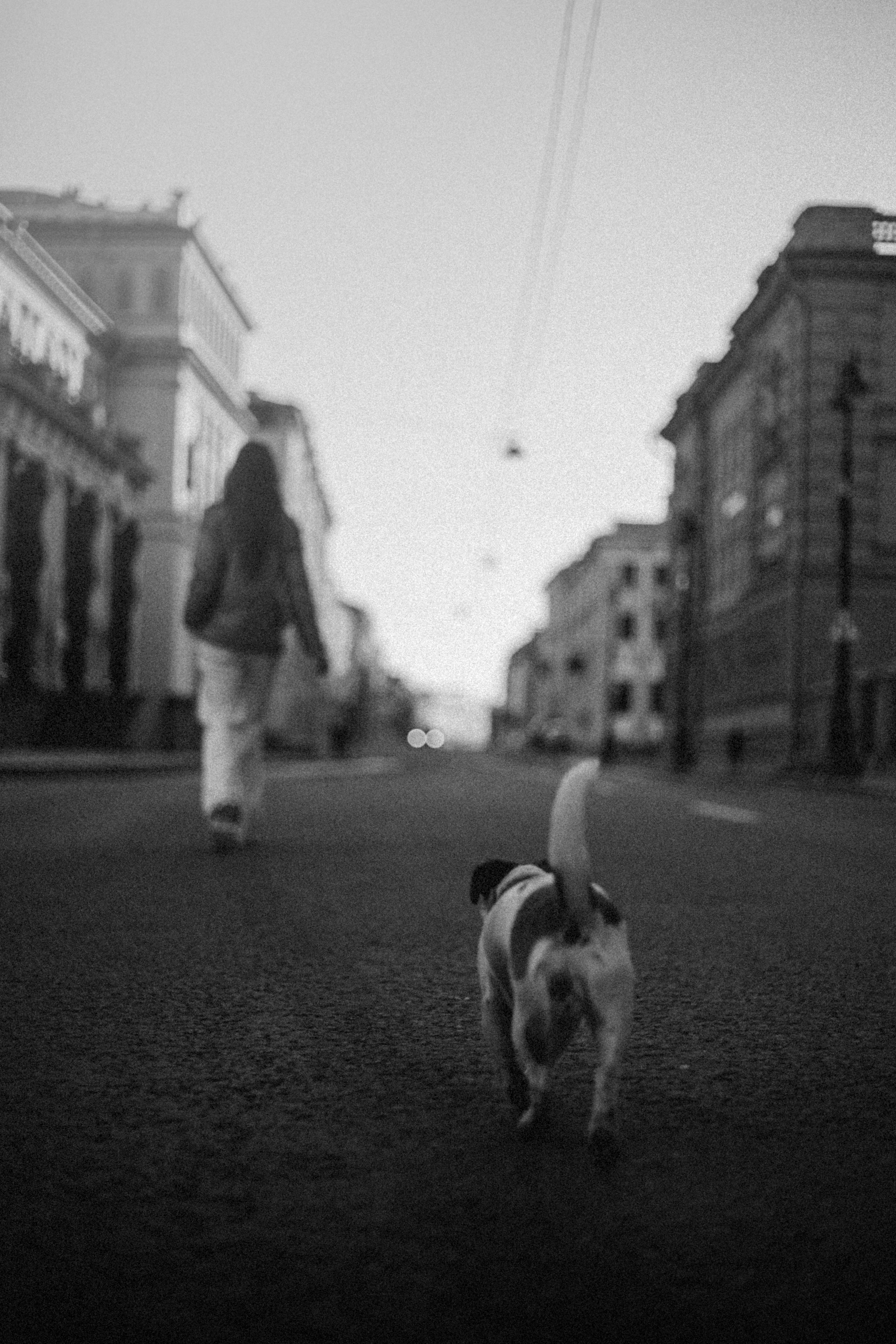 Лиза и Грета. Фотограф — Анималист | Санкт-Петербург