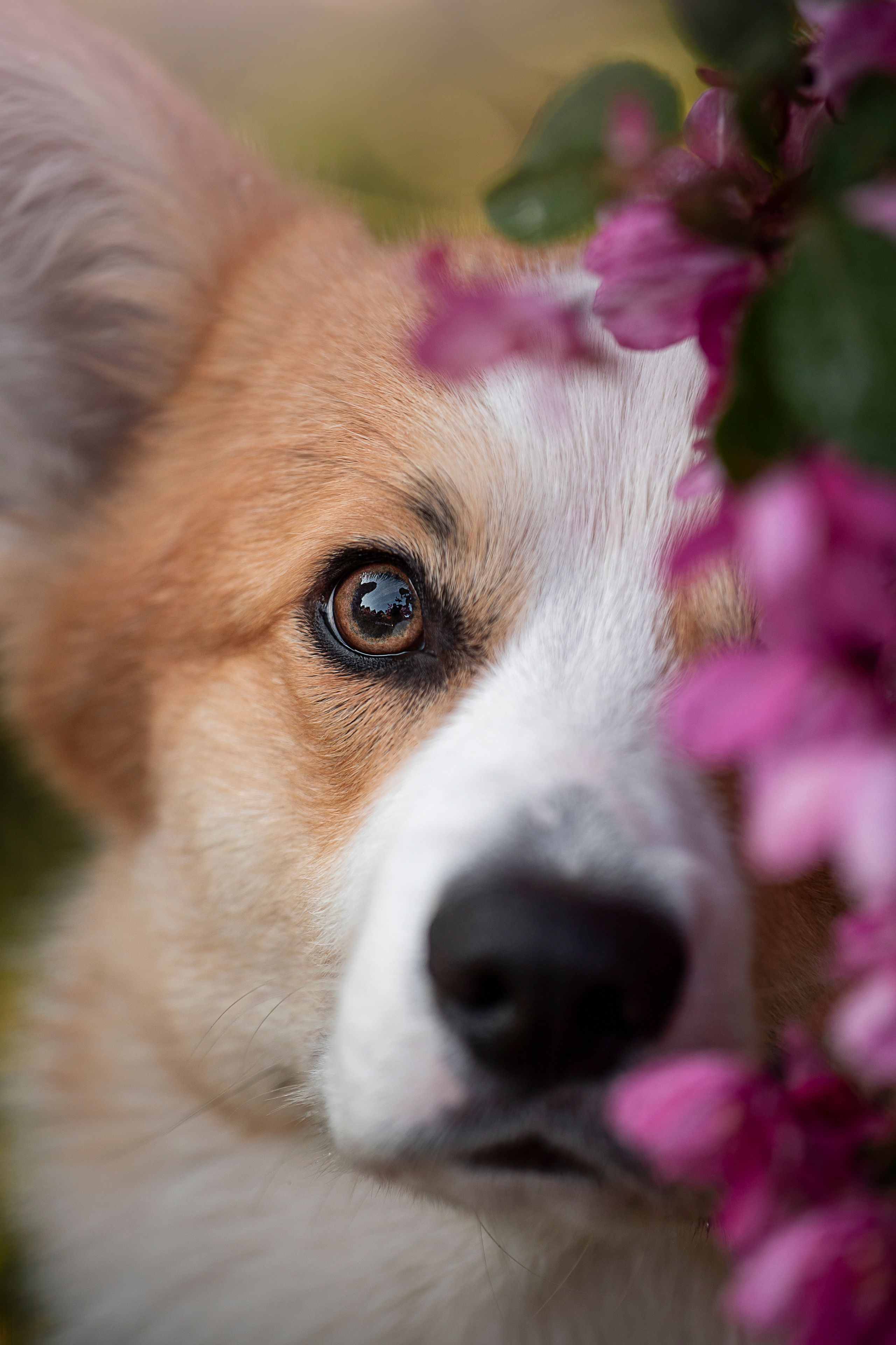 Юля и Лео. Фотограф — Анималист | Санкт-Петербург