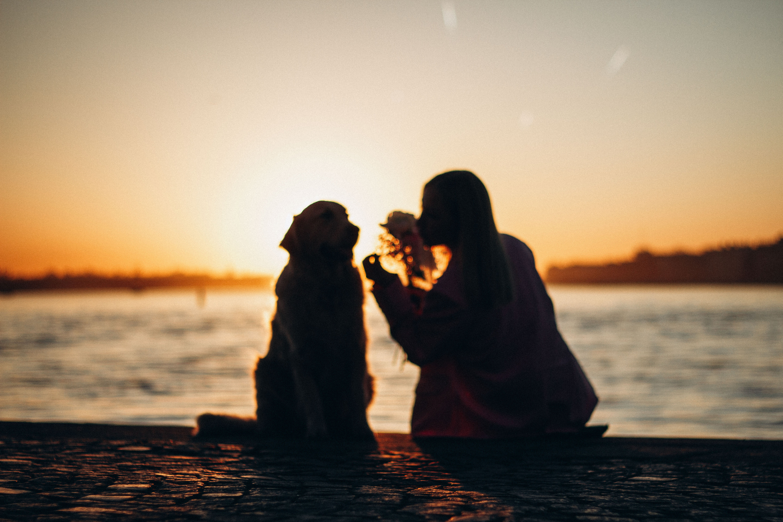 Настя и Марси. Фотограф — Анималист | Санкт-Петербург