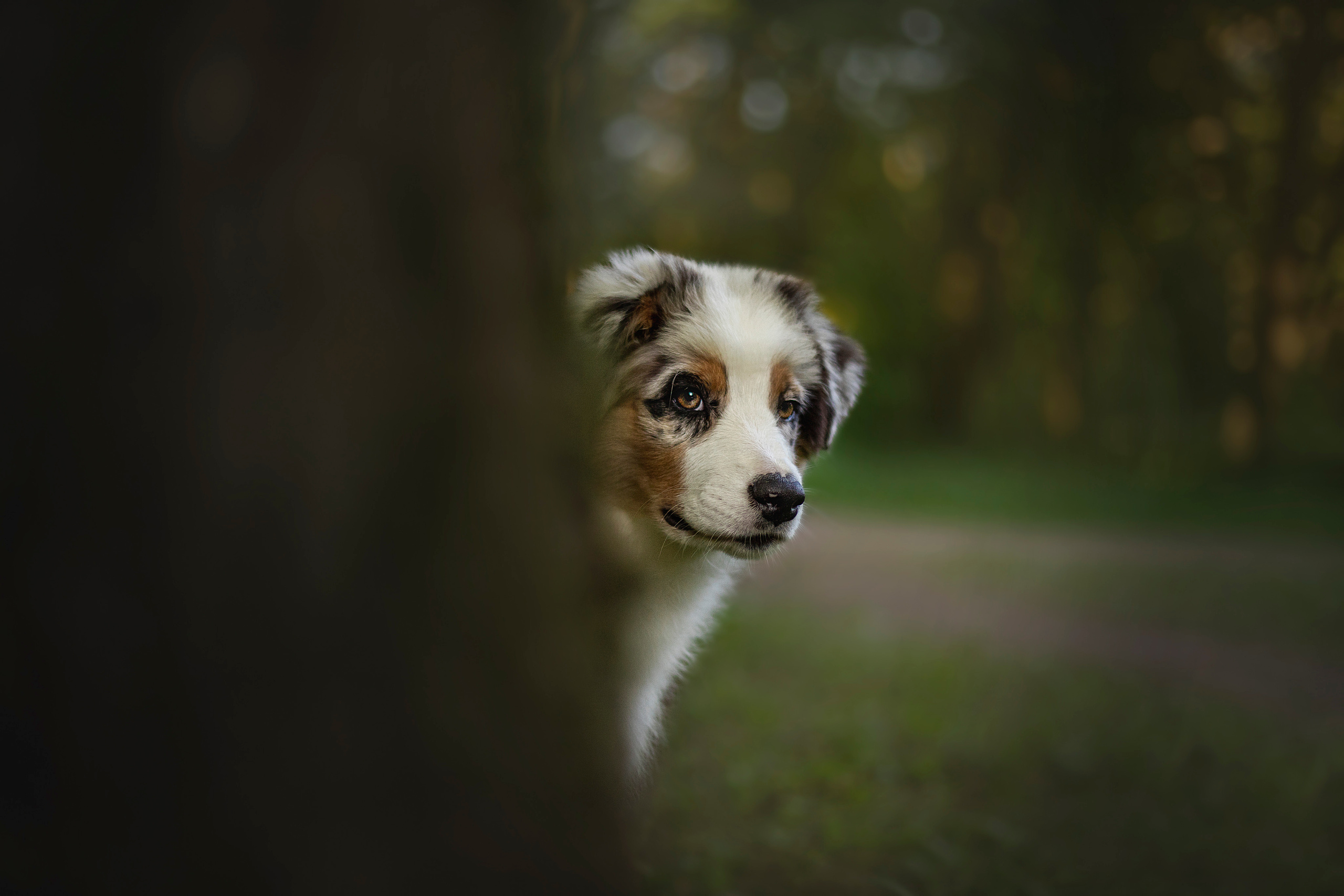 Ирина и Кайса. Фотограф — Анималист | Санкт-Петербург