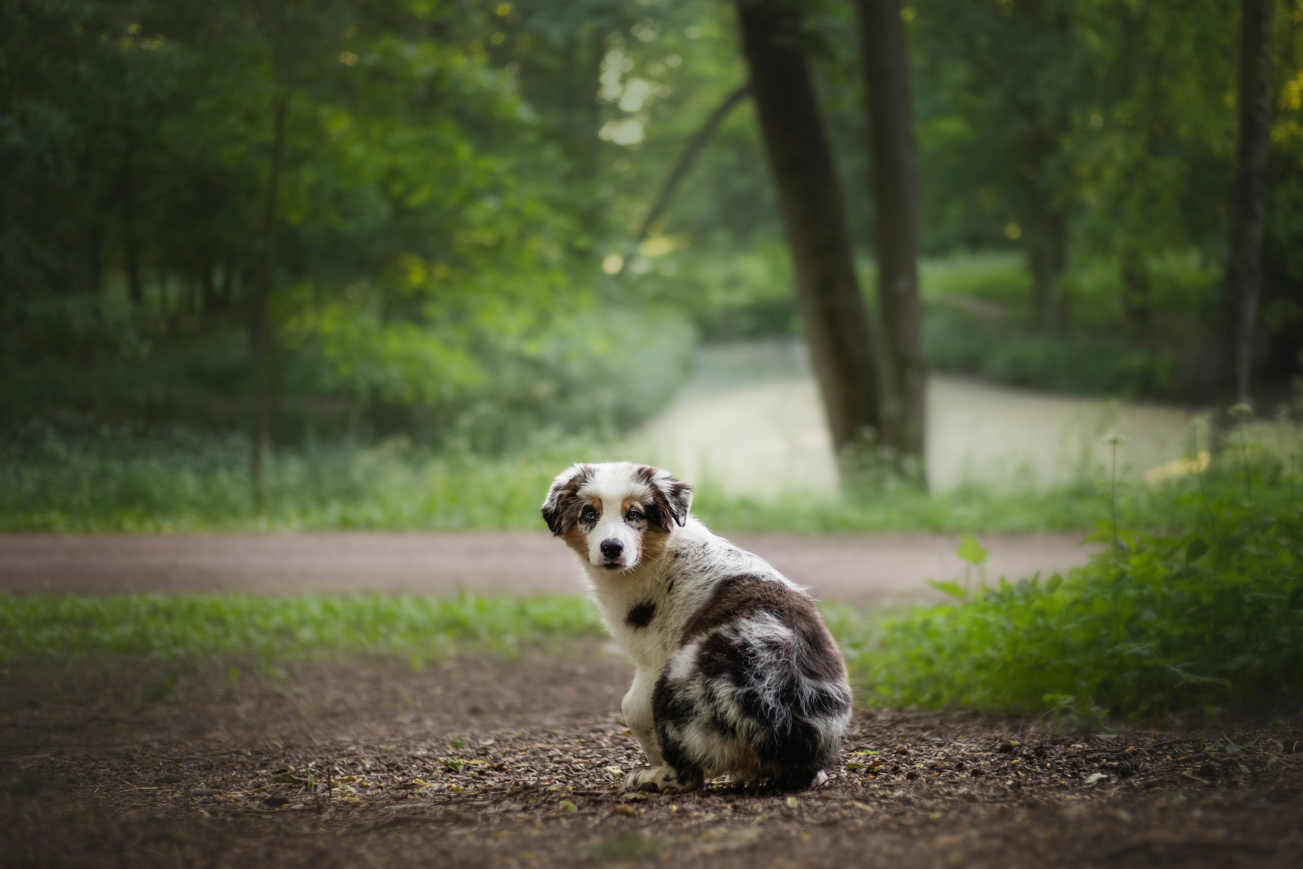 Ирина и Кайса. Фотограф — Анималист | Санкт-Петербург