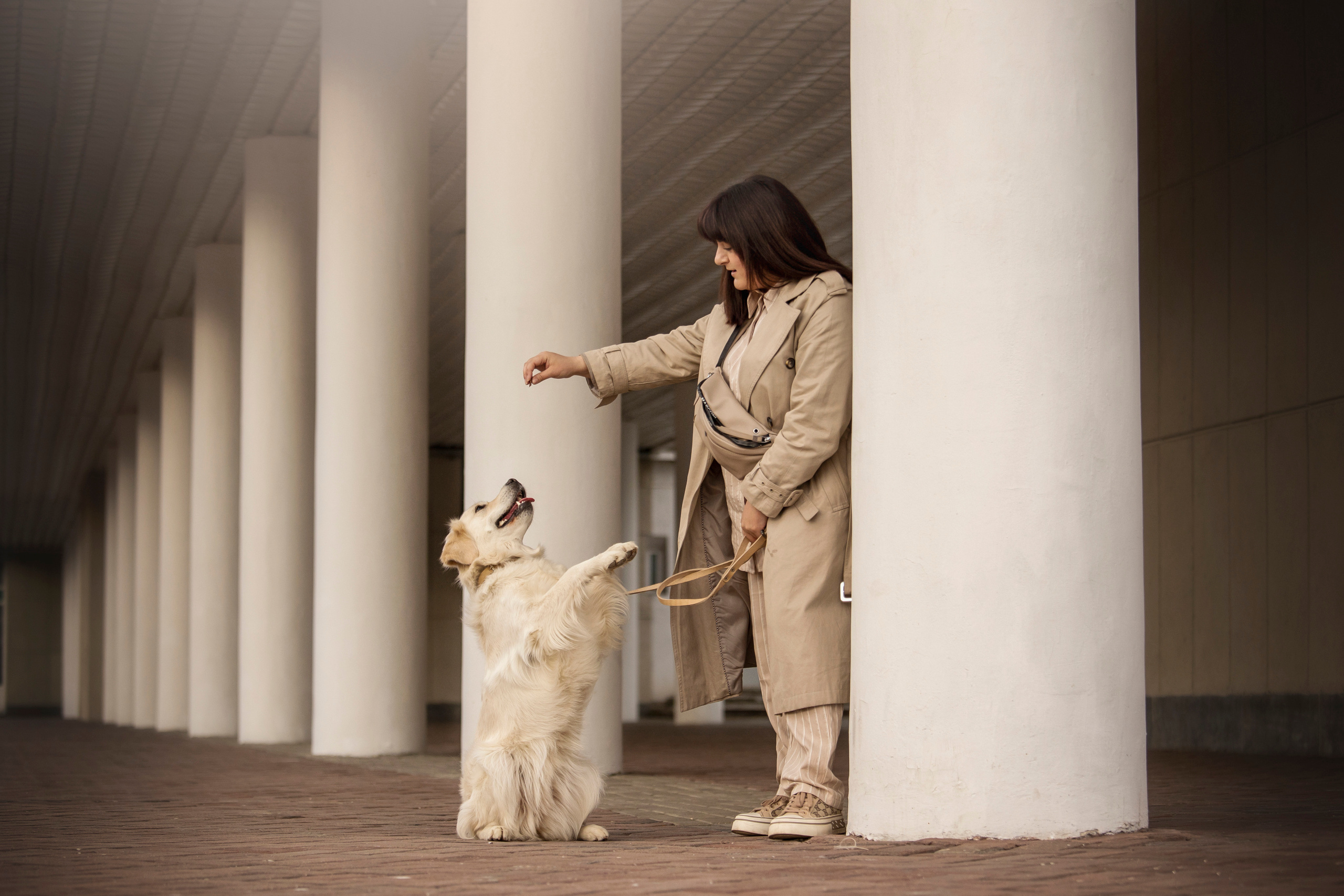 Молли и ее семья. Фотограф — Анималист | Санкт-Петербург