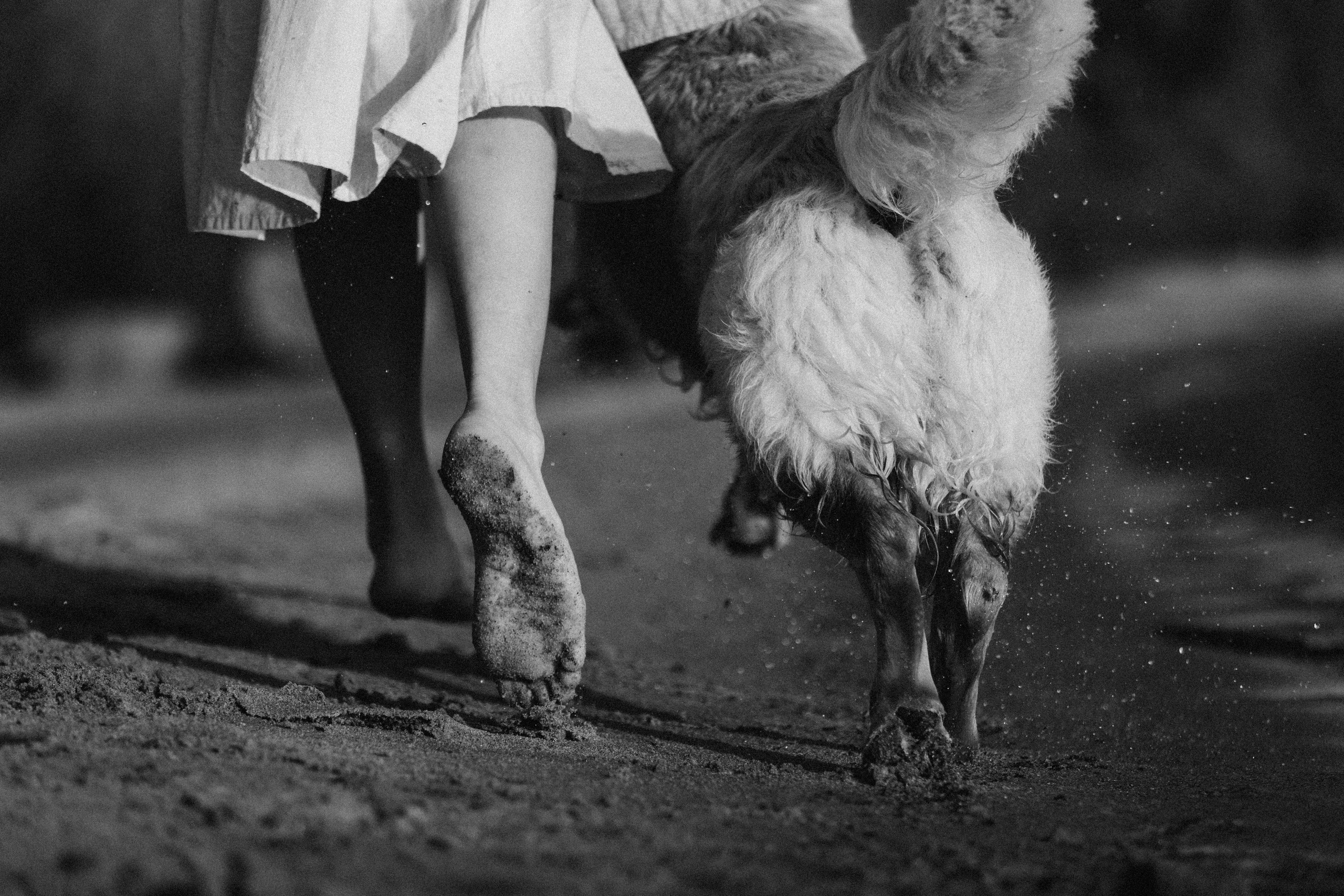 Марина и Чили. Фотограф — Анималист | Санкт-Петербург